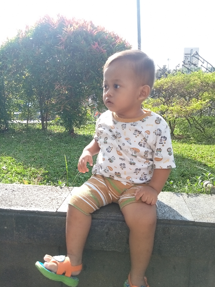 Memory