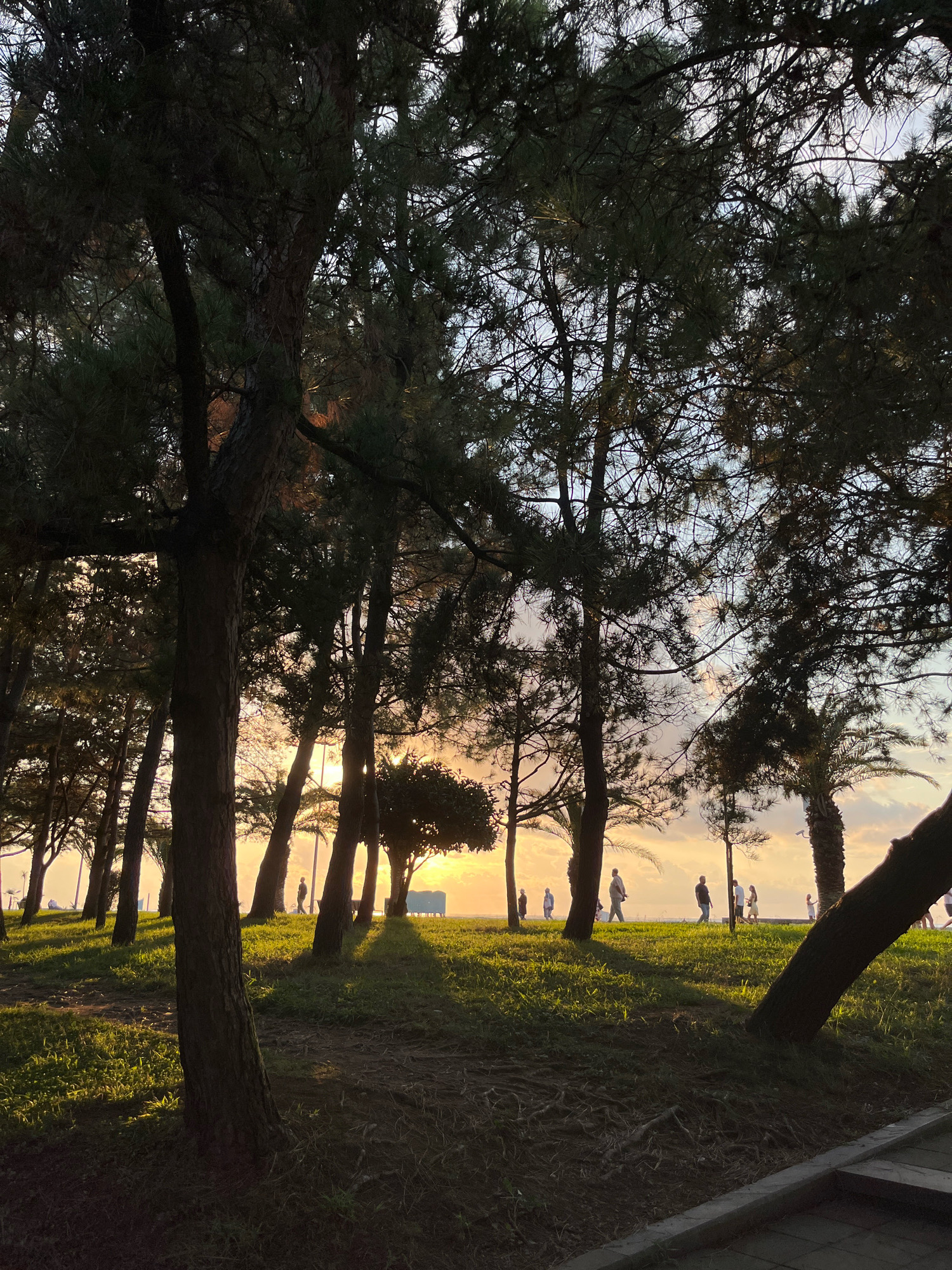 The image depicts a park setting at sunset in Batumi, Georgia, likely along the coast, given the presence of palm trees and people walking near the sea. The foreground features silhouetted trees, primarily pine and palm varieties, with their branches creating a dense canopy against the sky. Long shadows stretch across a grassy slope, indicating the low angle of the sun. In the middle ground, several individuals are visible walking along a path that appears to lead towards the sea, their figures silhouetted by the setting sun. The sky is a gradient of warm orange and yellow hues, transitioning to lighter tones towards the top, with scattered clouds. The overall atmosphere is serene and evokes the feeling of an evening stroll.