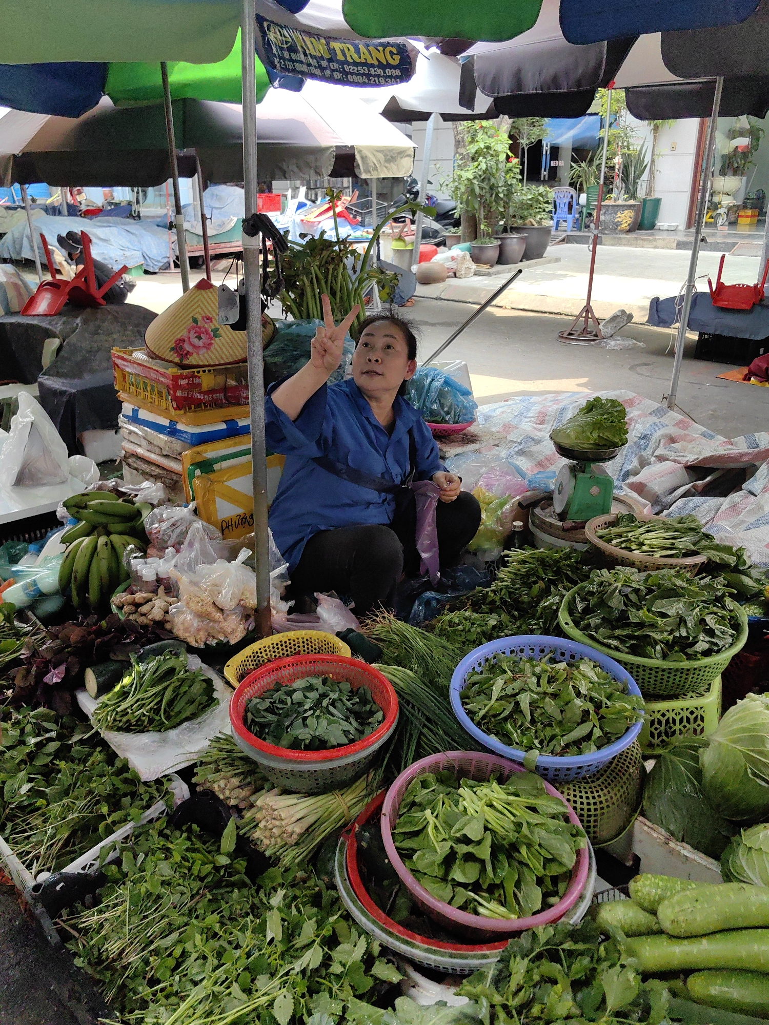 A woman crouches on a tarp surrounded by baskets and piles of fresh produce, likely at a market in Ha Long Ward, Vietnam. She is wearing a blue shirt and black pants and holds up two fingers in a peace sign. The produce includes various leafy greens, bananas, cucumbers, ginger, and other vegetables, displayed in colorful plastic baskets. Behind her, stacked plastic crates and a traditional Vietnamese conical hat sit on the tarp. An old-fashioned green scale is placed near some of the greens. Above, multiple striped umbrellas provide shade. In the background, parts of buildings and greenery can be seen.