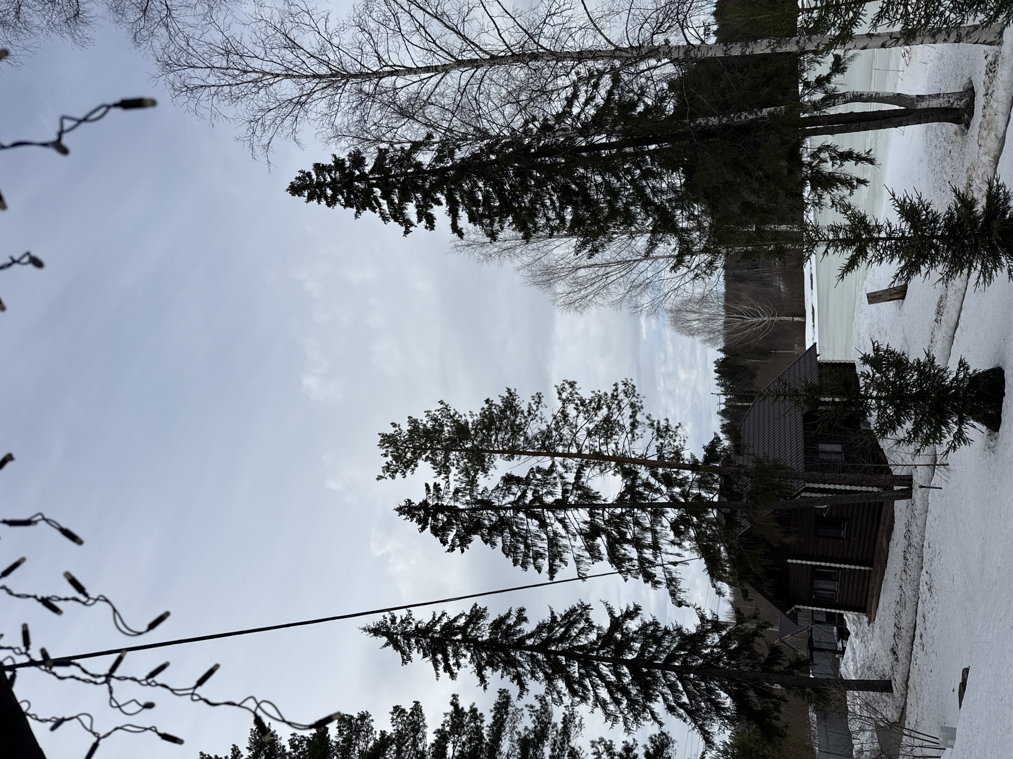 The image depicts a winter scene near Votkinsk, Russia. The sky is overcast and gray. In the foreground are string lights and several evergreen trees. A two-story dark wooden house with a brown roof is visible, partially obscured by the trees. The ground is covered in snow. Other bare trees are visible in the background.