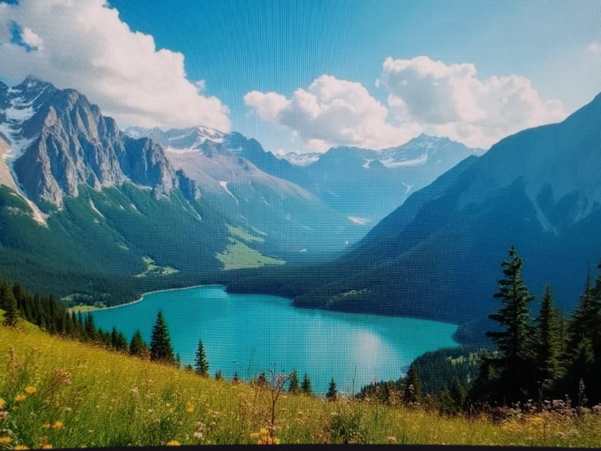 This image depicts a breathtaking mountain landscape with a vibrant turquoise lake. In the foreground, a meadow of wildflowers and tall green grass slopes downwards. Various coniferous trees dot the hillside, with a dense line of them bordering the edge of the lake. The lake itself is nestled within a valley, surrounded by lush green mountains that transition into jagged, snow-capped peaks in the distance. The sky is a brilliant blue, adorned with fluffy white clouds.
The image does not depict any elements related to the city of Syktyvkar, Russia.