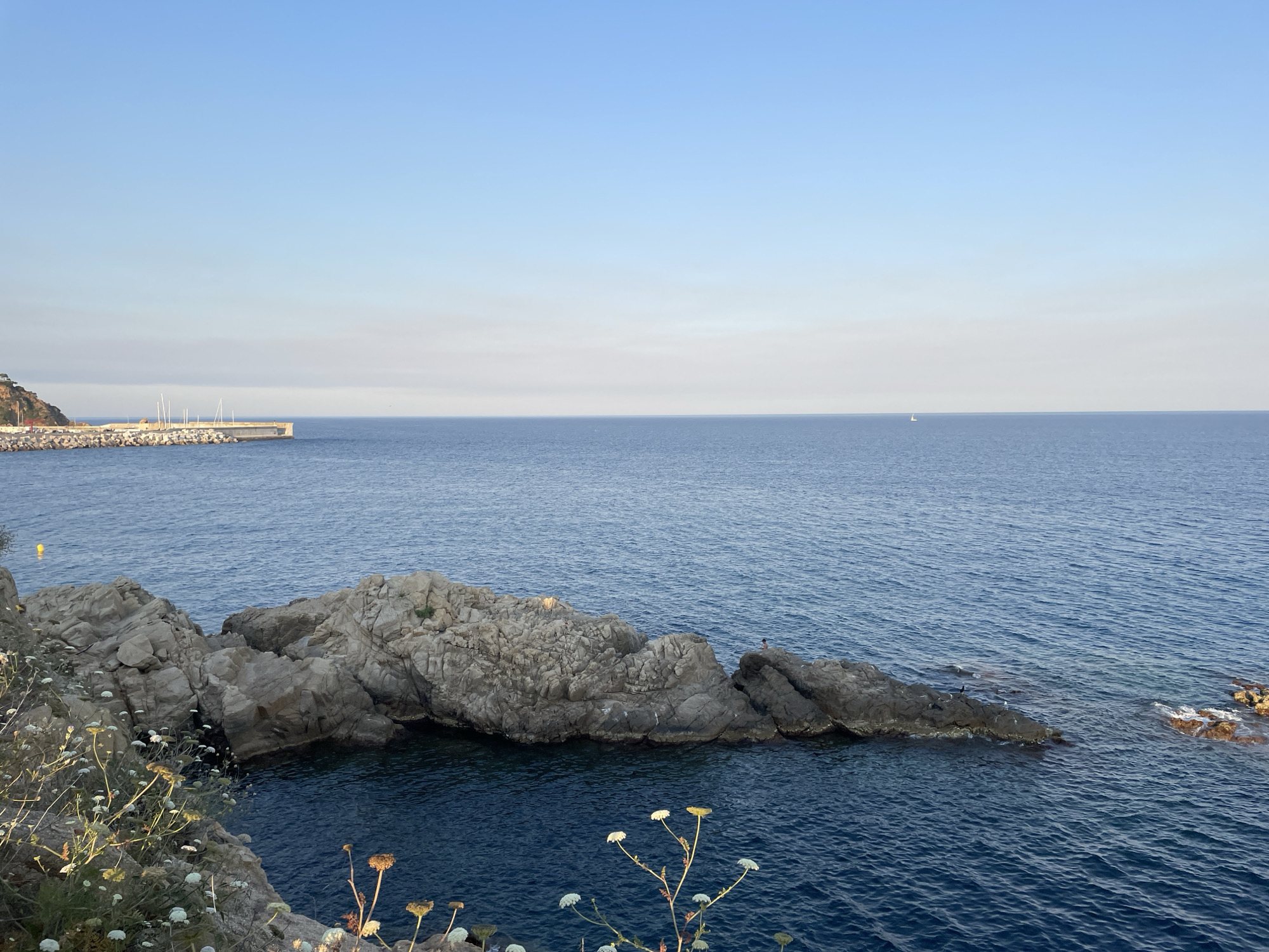 The image depicts a serene coastal scene in Blanes, Spain, with a focus on the rugged coastline meeting the deep blue Mediterranean Sea. In the foreground, a rocky outcrop dominates the left side, adorned with delicate white wildflowers and dry grasses catching the late afternoon sun. The rocks are weathered and textured, with dark crevices suggesting the presence of water.
Further out to sea, a small, triangular sail can be seen in the distance, a solitary mark on the vast expanse of blue. To the left of the frame, a stone breakwater extends into the water, with several white masts of sailboats visible just beyond it, indicating a harbor. The sky above is a gradient of pale blue, fading into a lighter hue near the horizon, with a hint of a hazy cloud layer. The overall impression is one of tranquility and natural beauty, characteristic of the Costa Brava.