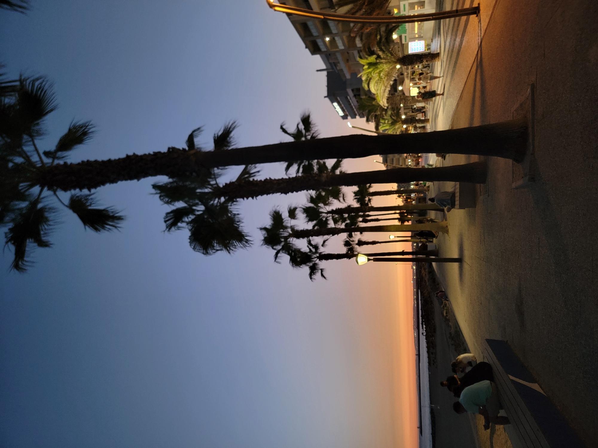 The image depicts a twilight scene along the promenade in Quarteira, Portugal. Tall palm trees line the paved walkway, casting shadows. The sky transitions from a deep blue at the top to a soft orange and pink near the horizon, indicating sunset or sunrise. Several people are visible: some seated on a bench on the left, others walking or standing further down the promenade. Buildings with illuminated windows and streetlights are present on the right side of the walkway. The beach and the sea are visible on the far left, with distant lights suggesting a coastal town. The overall atmosphere is calm and serene.