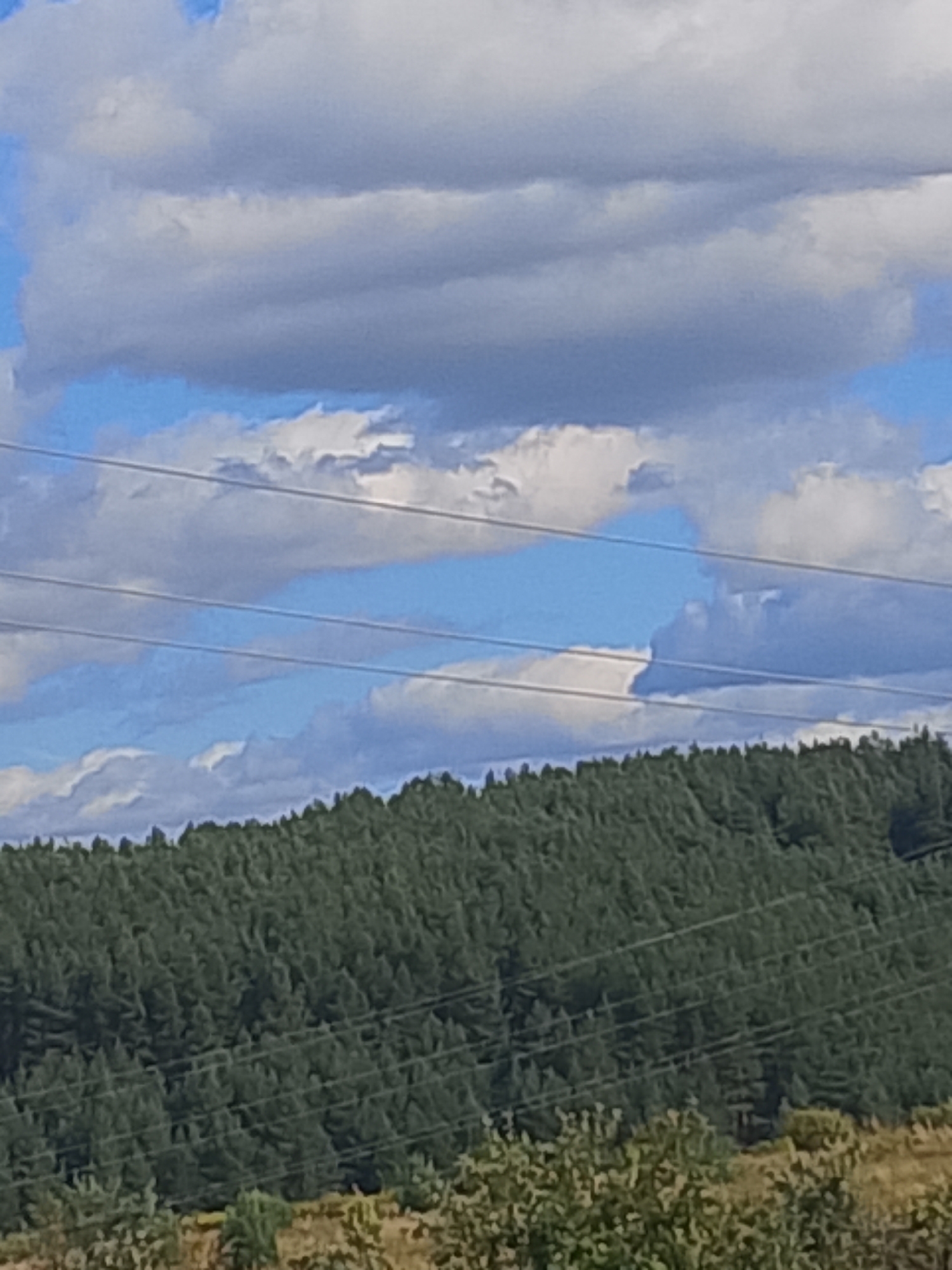 The image depicts a landscape under a cloudy sky, with power lines running horizontally across the frame. In the foreground, a dense forest of dark green trees covers a hillside. The sky is a mix of blue and white, with large, fluffy clouds. The scene appears to be outdoors, possibly in a rural or semi-rural area. The provided location, Арефино, Russia, suggests this is a natural landscape in that region. There are no people or specific actions visible in the image.