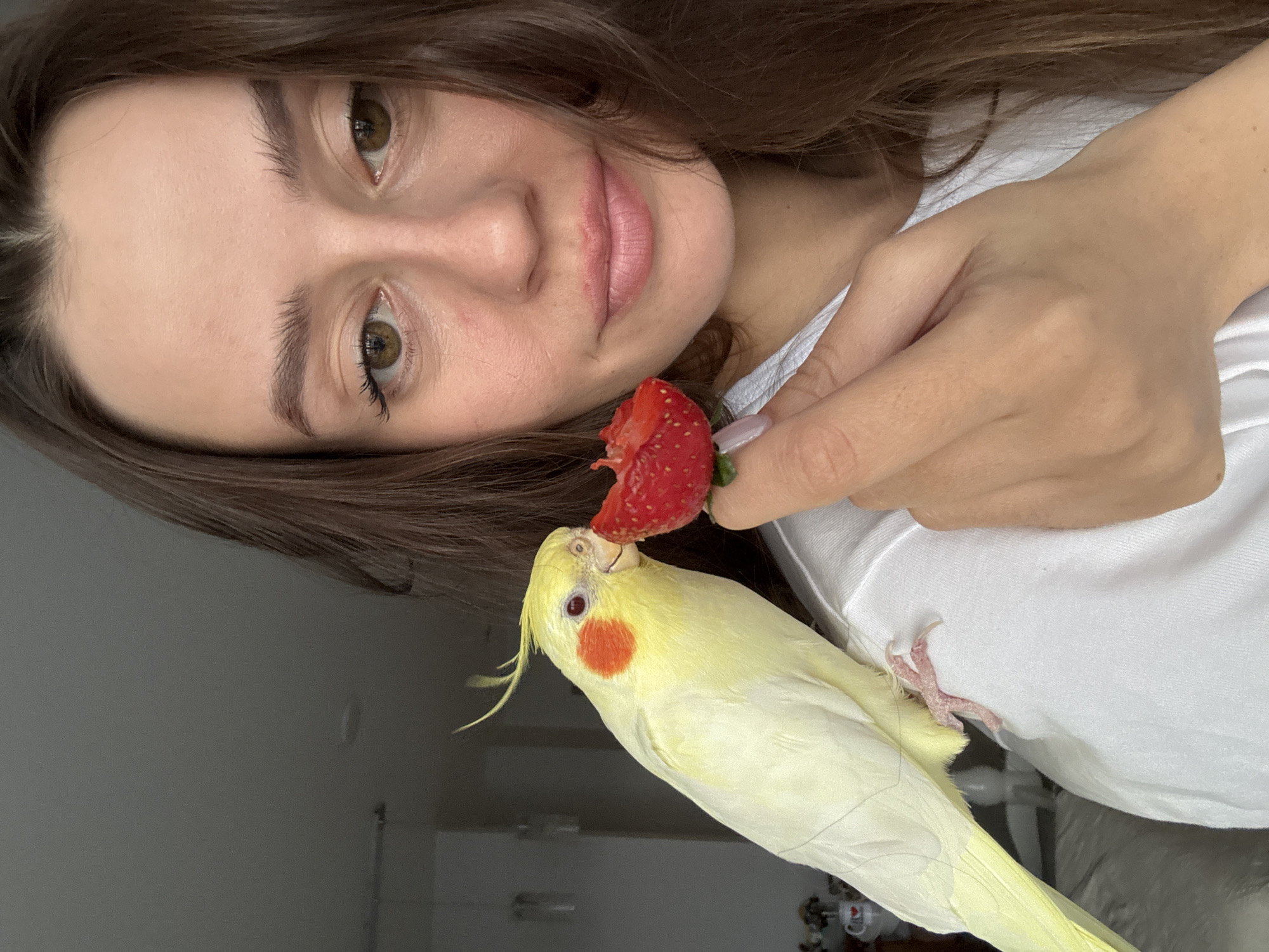 A woman is holding a strawberry up to a yellow cockatiel bird. The woman has brown hair and green eyes. She is wearing a white shirt. The cockatiel is perched on her shoulder and is eating the strawberry. It has a red patch on its cheek. The background is blurred, but appears to be an indoor setting. No specific location information regarding the city of Krasnoyarsk, Russia, can be determined from the image.