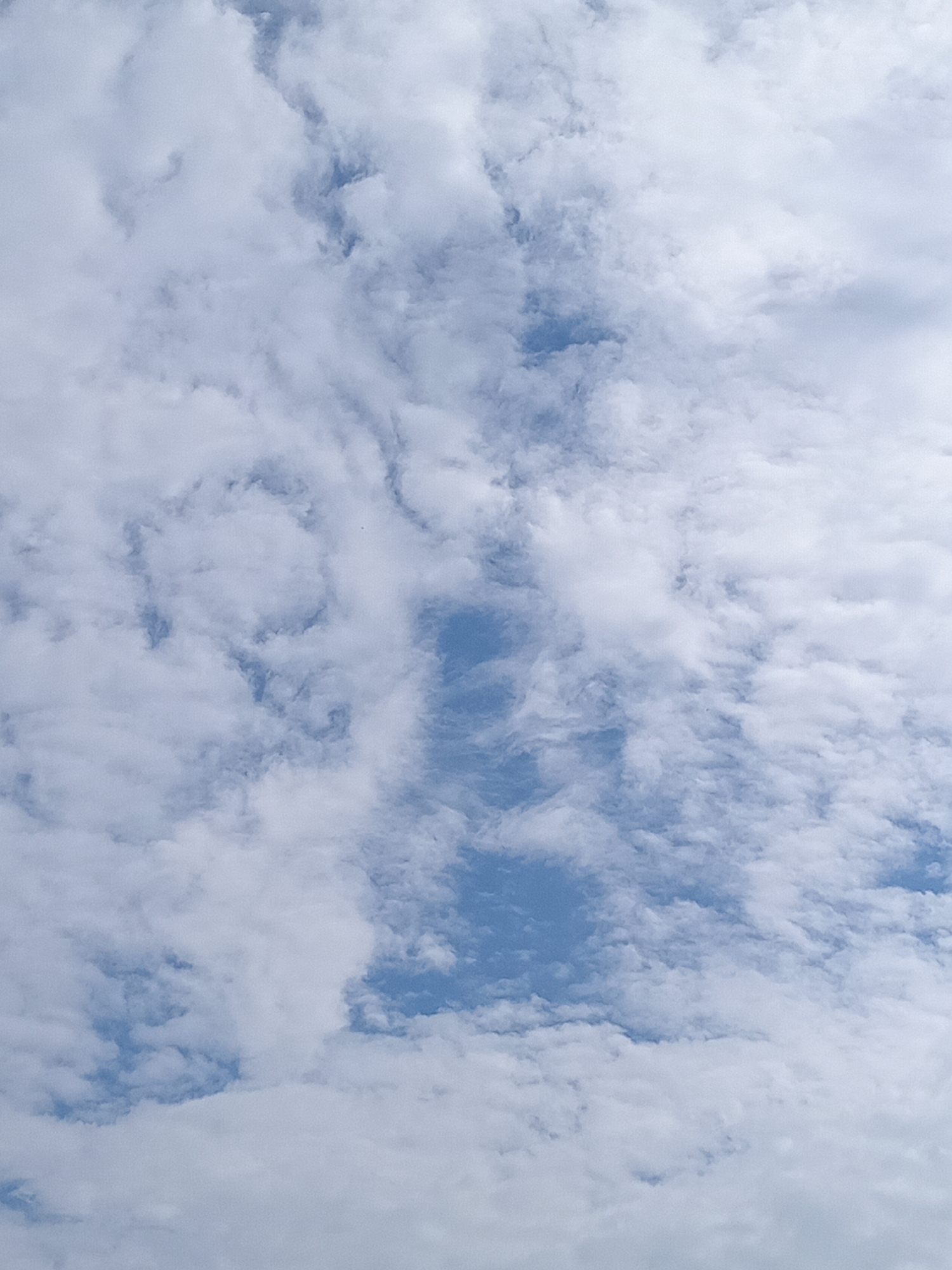 This is a photograph of the sky. The sky is filled with white, fluffy clouds against a bright blue background. The clouds are scattered and appear to be moving, creating a dynamic and textured pattern. There is no discernible location in the city of Novokuznetsk, Russia, nor are there any people, subjects, objects, or actions depicted. The image is a natural landscape shot, focusing solely on atmospheric conditions.