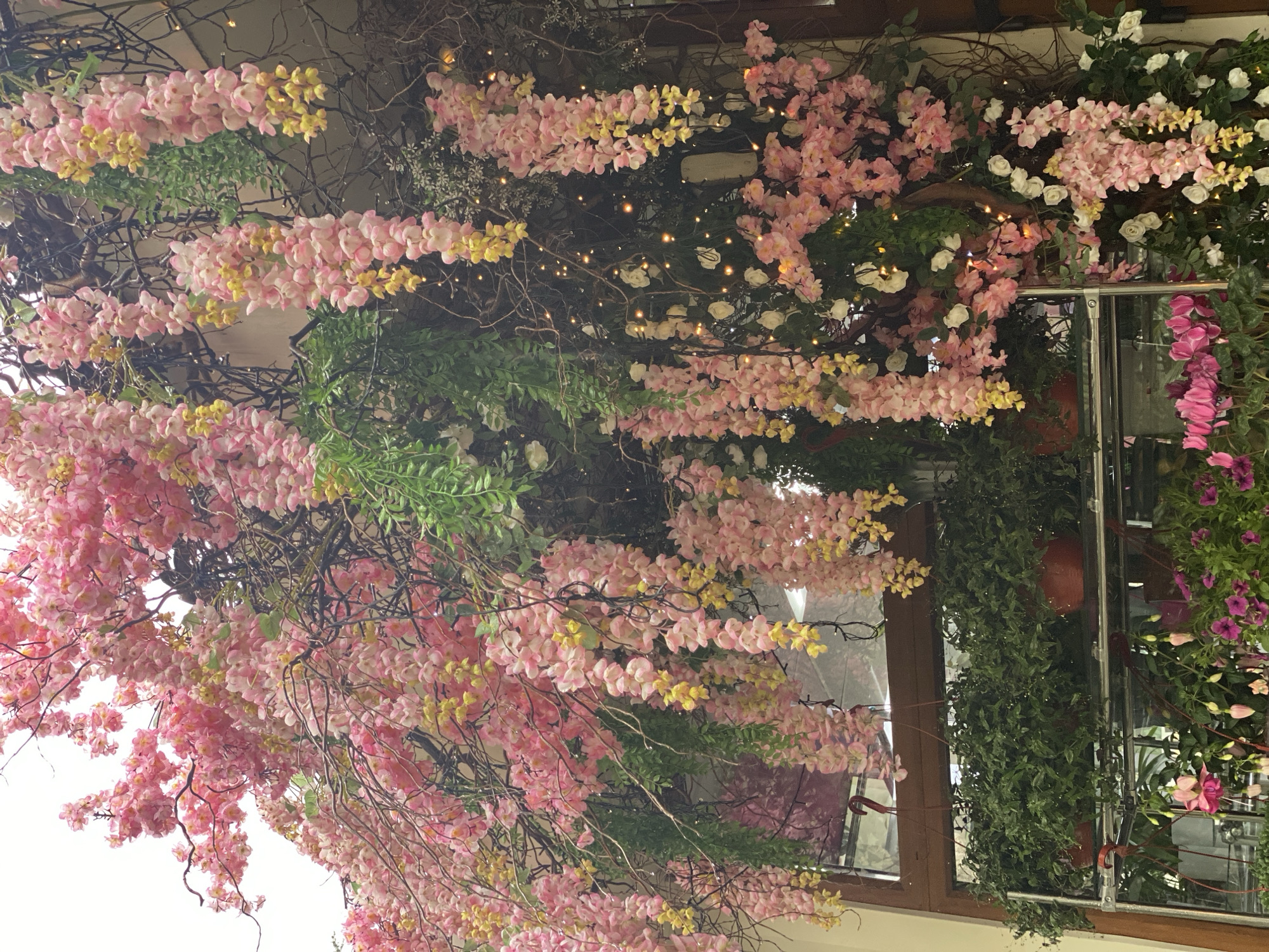 The image captures an elaborate floral display in Sochi, Russia. The scene primarily features an abundance of pink and yellow wisteria-like flowers cascading down from a structure, possibly a ceiling or pergola. Interspersed among these blossoms are green leafy plants and delicate white flowers. The floral arrangement also includes string lights, adding a subtle glow to the scene. A window with hanging plants is visible, reflecting the floral display.