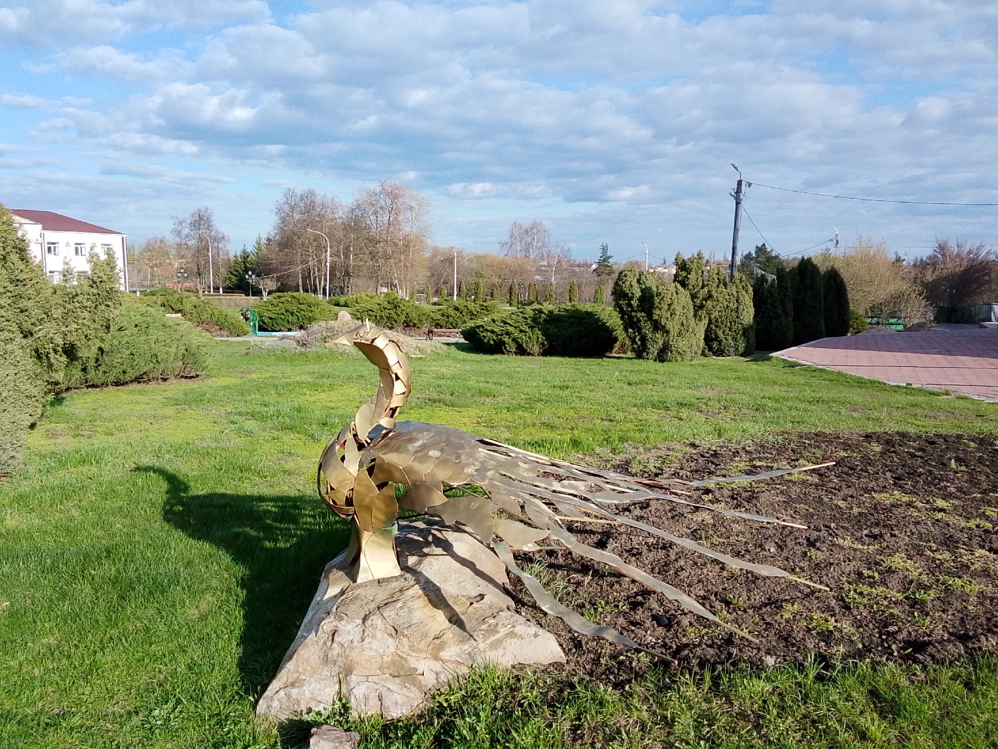 This image presents a serene park scene, likely in Khlevnoye, Russia, under a bright, partly cloudy sky. The central subject is an ornate, golden metallic sculpture of a stylized bird, possibly a peacock or swan, characterized by a long, segmented neck and a flowing tail comprised of numerous thin, curved metal strips. This sculpture is anchored on a large, light-colored rock base in the foreground.
The park features well-maintained green grass covering the majority of the ground, contrasting with a section of dark, tilled earth to the right of the sculpture, possibly prepared for a flowerbed. Various types of vegetation fill the midground and background, including dense evergreen bushes and trees (such as junipers or cypresses) and leafless deciduous trees, suggesting the early spring season.
In the background on the left, a white building with a reddish-brown roof is partially visible. Further back and to the right, utility poles with wires and streetlights are interspersed among the trees. A paved path with reddish bricks can be seen along the far right edge of the frame. The sun is shining brightly, casting a prominent, elongated shadow of the bird sculpture onto the grass, indicating either morning or late afternoon. No people or specific events are depicted in the tranquil scene. There is no visible text.