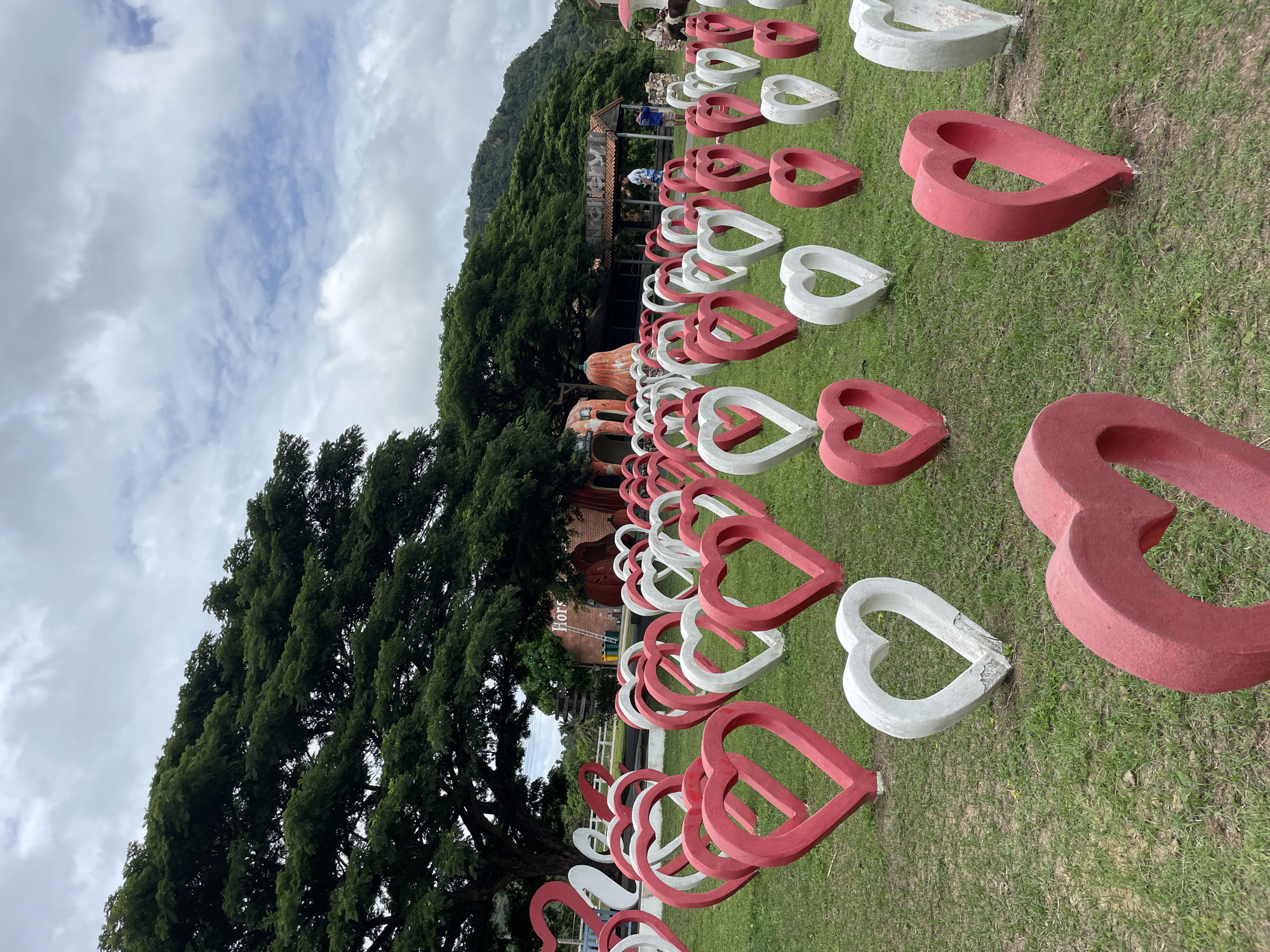 This image captures an outdoor art installation in Na Chom Thian, Thailand, featuring numerous large, heart-shaped sculptures arranged on a grassy field. The sculptures are predominantly red and white, alternating in color and varying slightly in size. In the background, a massive, mature tree with lush green foliage dominates the landscape, casting a shadow over some of the sculptures. Behind the tree, there are buildings with a rustic architectural style, including one with a sign that reads "Horse". Several people are visible in the distance, interacting near the buildings. The sky is partly cloudy, with patches of blue sky showing through. The overall scene suggests a tourist attraction or a park setting, likely designed for leisure and photography.