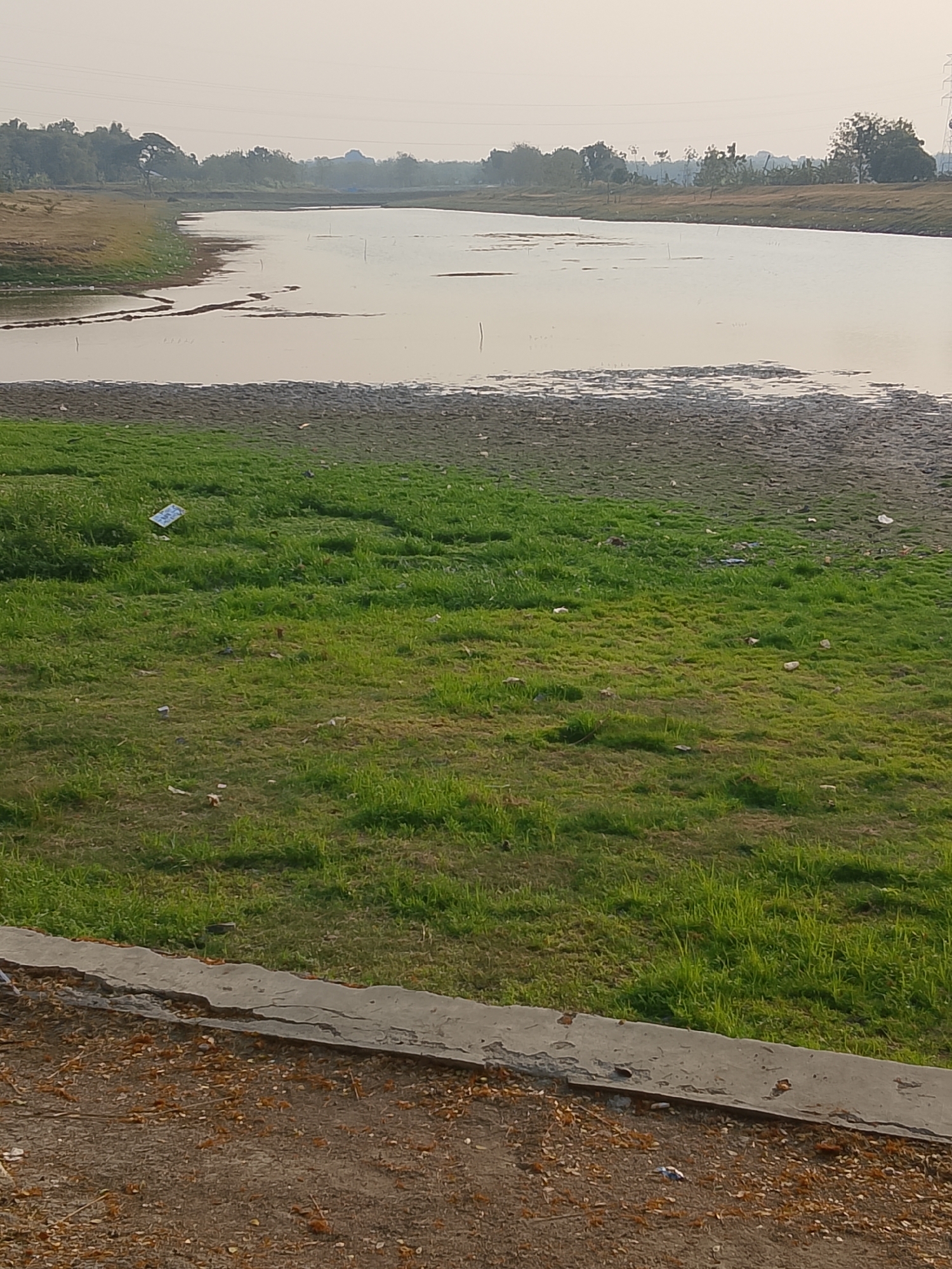 The image depicts a natural scene with a body of water in the background, possibly a lake or a wide river, with a hazy sky above. The water is calm and reflects the muted light. The foreground is dominated by a grassy bank that slopes down towards the water. The grass is a vibrant green in some areas and appears drier and sparser in others, particularly closer to the water's edge where the ground is exposed and muddy. There are small pieces of debris scattered on the grass and the exposed earth, including what appears to be a white plastic wrapper. Further up the bank, there are trees and vegetation bordering the water. A concrete structure, possibly a pathway or the edge of a structure, runs along the very bottom of the image, with loose soil and fallen leaves on it. The overall impression is of a somewhat neglected natural area, possibly a park or a semi-natural landscape within or near an urban environment, given the presence of power lines in the far background. The scene does not provide any specific indicators that would place it in Ngadrin, Indonesia; it is a generic depiction of a lakeside or riverbank.