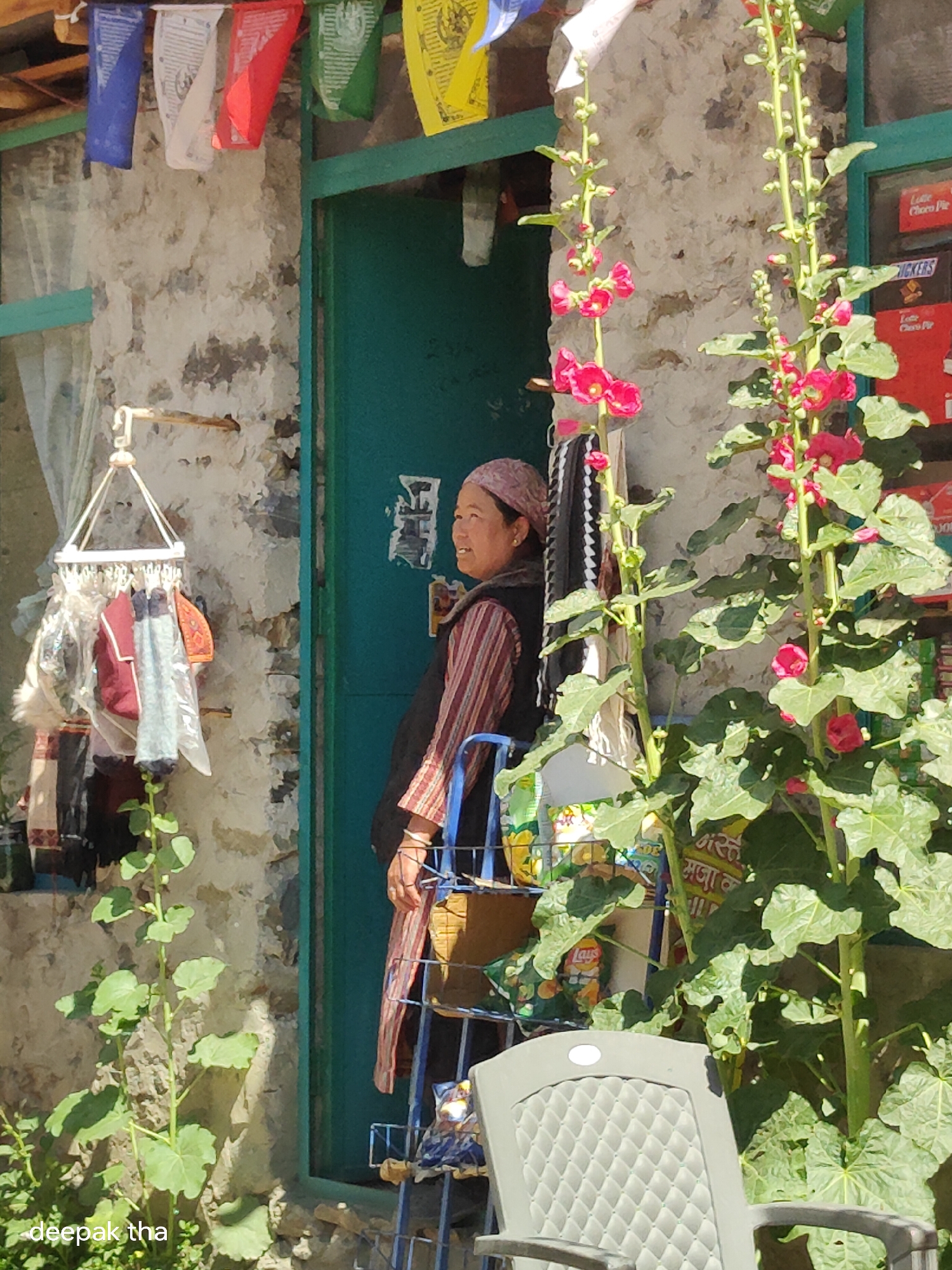 In Darcha, India, a woman with a patterned headscarf stands by a teal door, wearing a striped long-sleeved shirt and a dark vest. She holds a drink in her right hand. A rack of clothing hangs to her left, next to prayer flags strung above a stone wall. Hollyhocks with pink flowers grow tall to the right of the woman, with snack bags and a white plastic chair visible in the foreground.