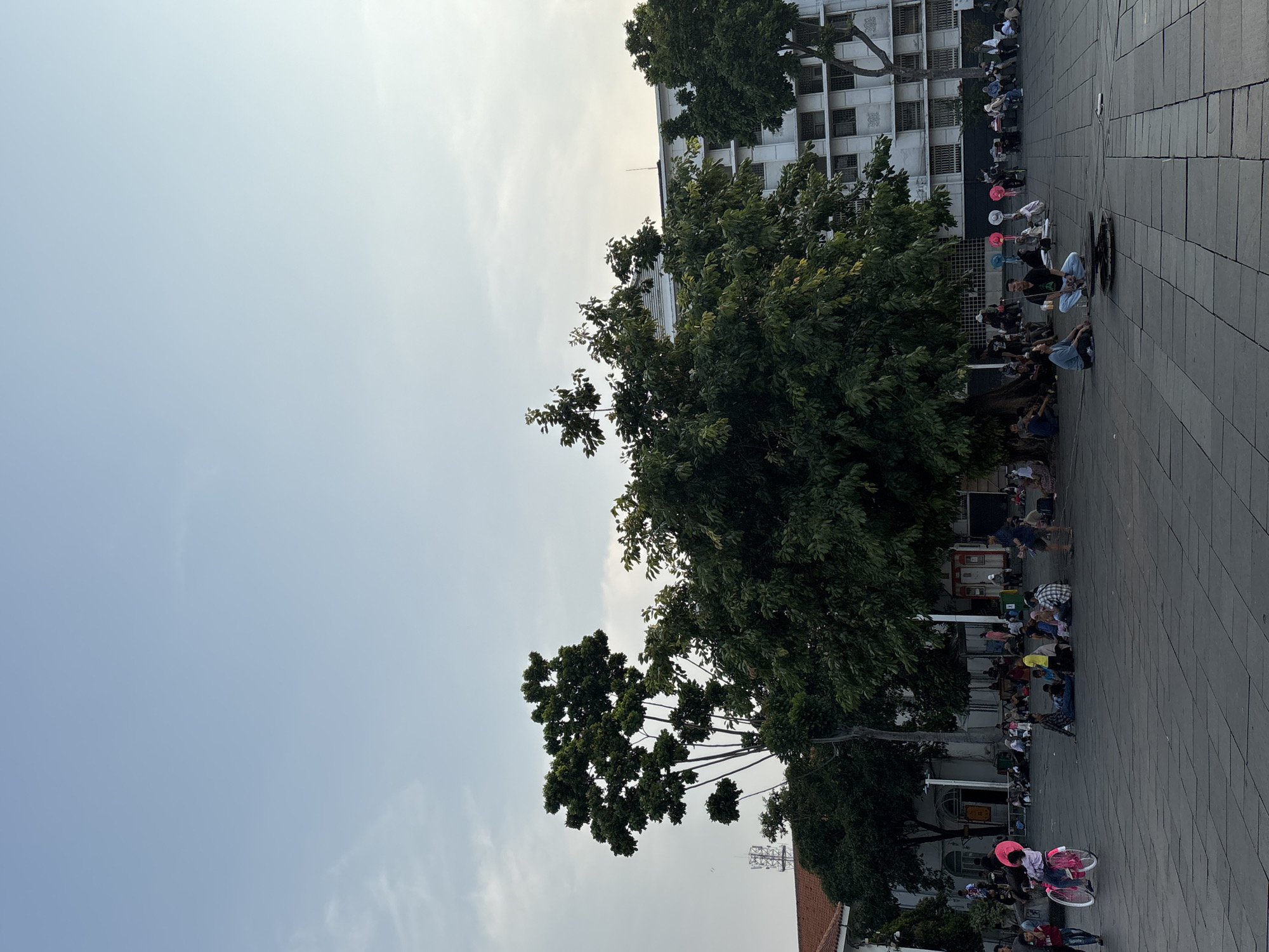 The image depicts a wide, paved public square in Kota Tua, West Jakarta, Indonesia, on a clear day with a pale blue sky. Several large, mature trees with dense green foliage are scattered across the square, providing shade. In the background, a multi-story white building with numerous windows and a repetitive architectural style dominates the scene.
Numerous people are spread throughout the square, many of whom are seated on the ground in small groups, appearing to be relaxing or socializing. Some individuals are standing, and a child is visible riding a pink bicycle with a pink balloon. There are also several colorful fans placed on the ground in one area. The paved surface of the square is made of dark grey square tiles. The overall atmosphere suggests a casual gathering or a leisurely afternoon in an urban public space.