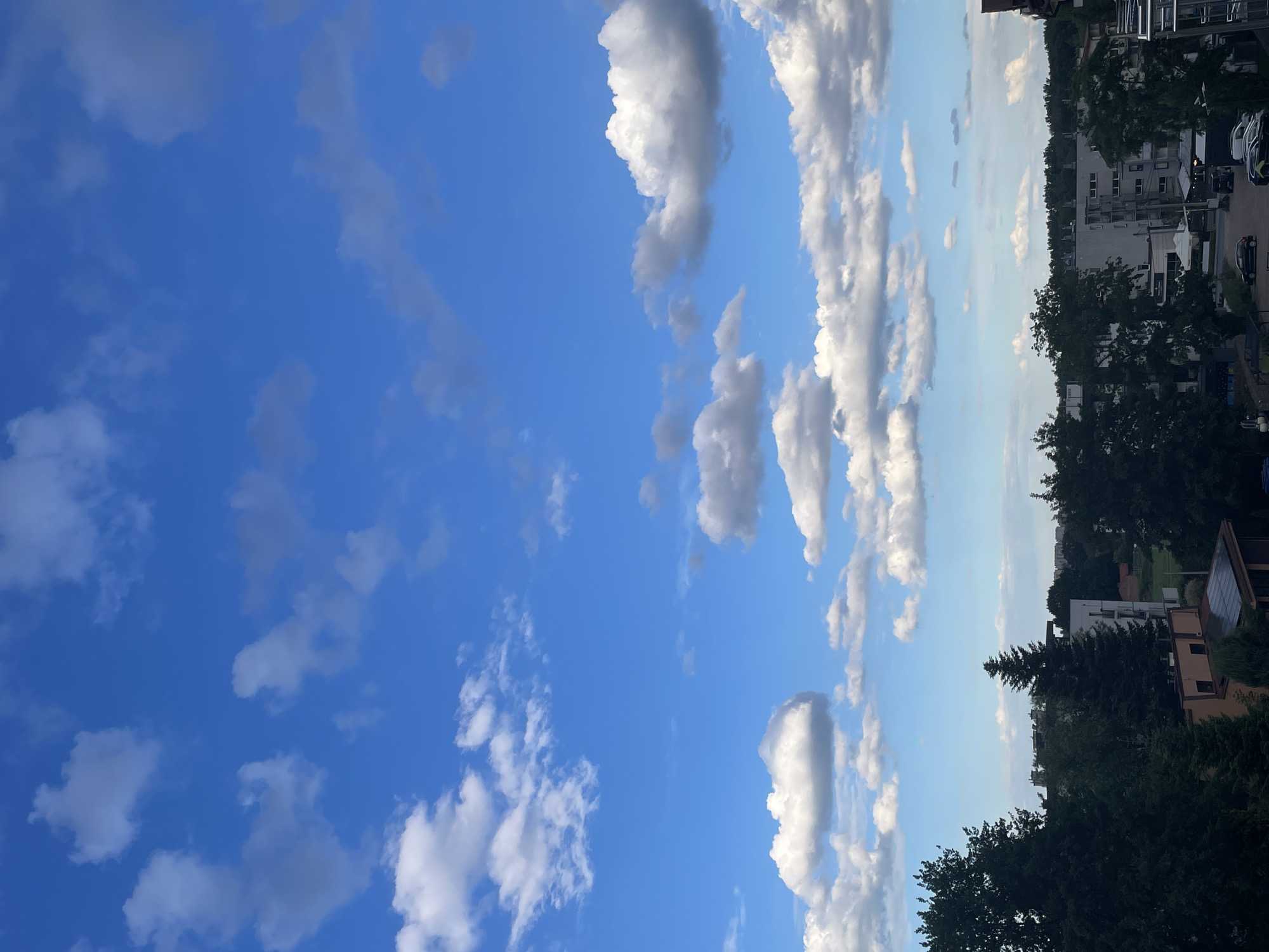 A view from above shows a bright blue sky filled with scattered white cumulus clouds. Below the sky, a dense line of dark green trees forms a horizon, with some buildings peeking through the foliage. The buildings are a mix of modern structures, some with visible windows and balconies, and others appearing as darker, flat-topped shapes. The overall scene depicts an urban landscape under a partly cloudy sky.