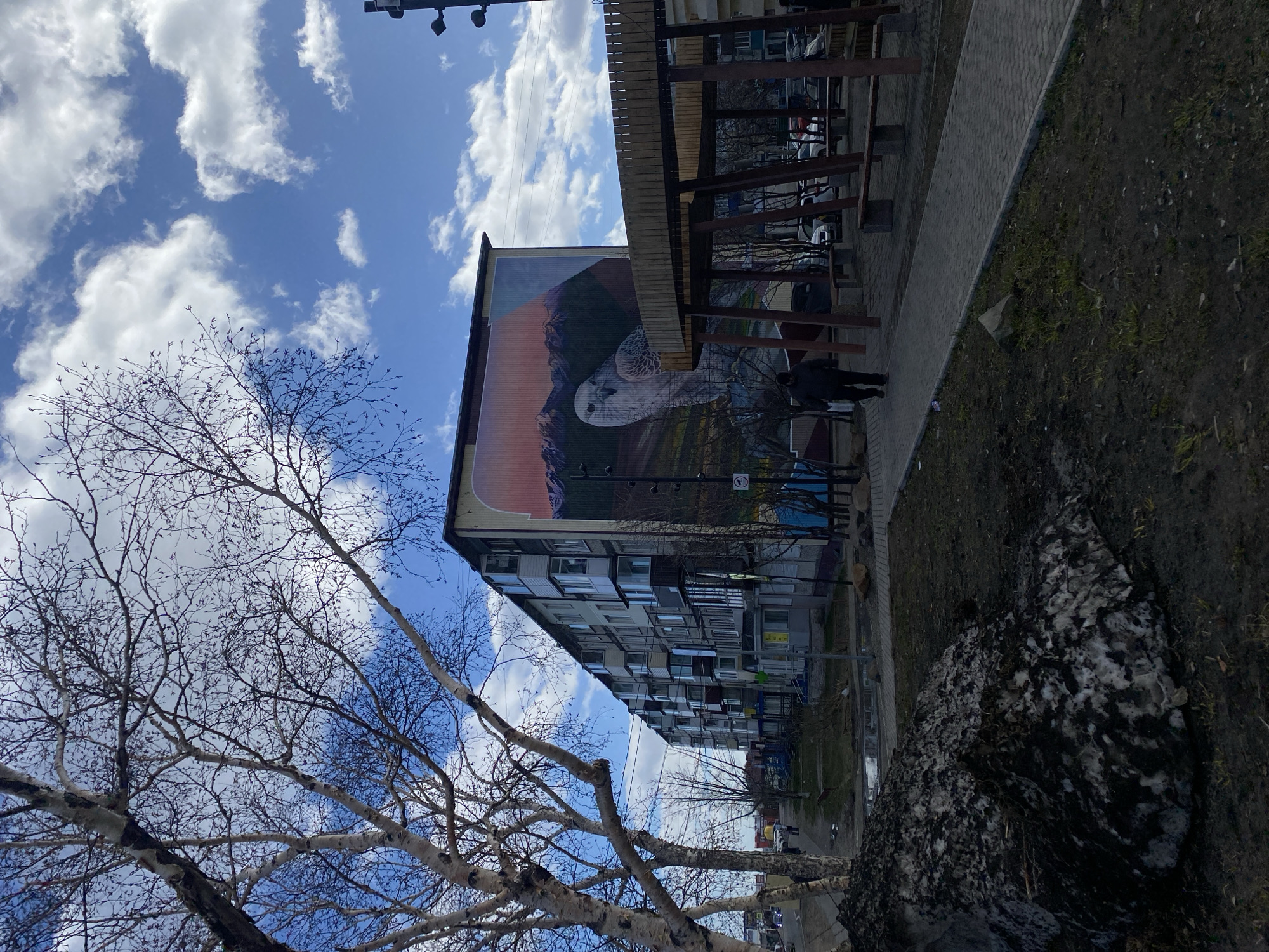 The image depicts an apartment building in Petropavlovsk-Kamchatsky, Russia, adorned with a large mural of a snowy owl against a mountain backdrop. The building is of concrete construction and several stories tall. A covered walkway or structure runs along the building's side, close to the street.
In the foreground, a bare birch tree with its distinctive white bark is visible. Patches of snow and bare earth are visible on the ground. A sidewalk runs alongside the building. Several people can be seen walking near the building's entrance. The sky is blue with scattered white clouds. Streetlights are mounted on poles.
