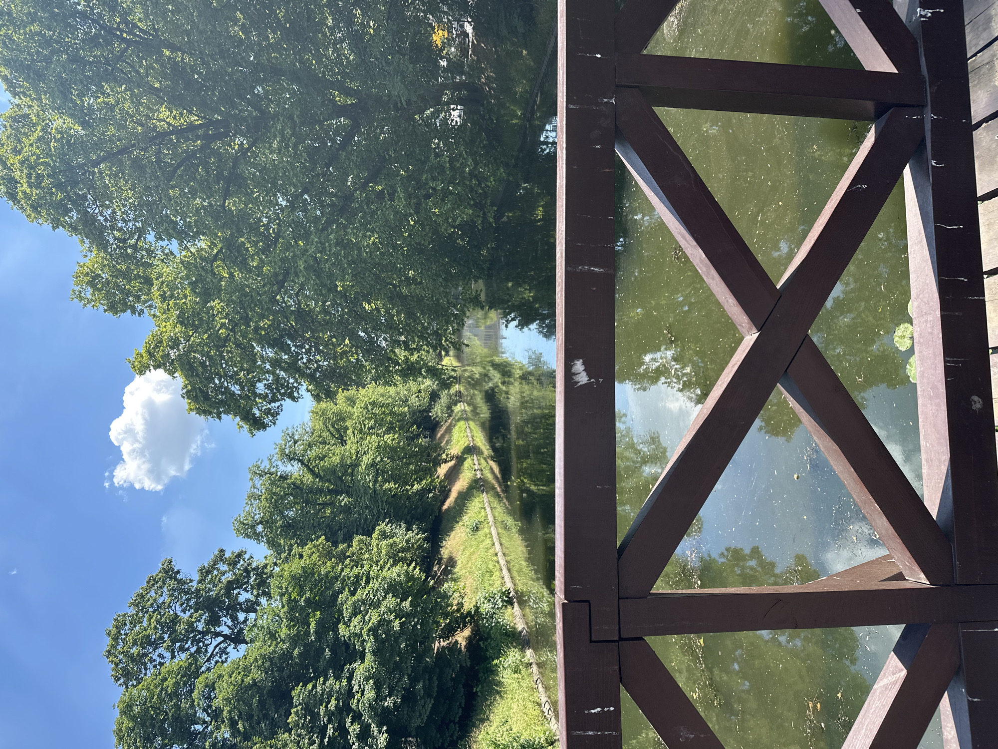 The image is a vertical, slightly angled shot of a canal path bordered by lush green trees on one side and a wooden structure overlooking a canal on the other. The canal reflects the trees and the bright blue sky with a few white clouds. The wooden structure appears to be part of a bridge or walkway, constructed with dark brown beams forming a geometric pattern.
The scene is set outdoors, likely in a park or natural area, given the abundance of trees and the canal. The sunlight suggests it is daytime, likely late morning or afternoon, with clear weather. The canal itself appears calm, with lily pads visible on its surface. The trees are full of leaves, indicating a season of growth, likely spring or summer. The path along the canal is visible, appearing to be made of gravel or dirt, and is lined with vegetation.
No people are visible in the image. The focus is on the natural scenery and the man-made structure. The overall mood is serene and peaceful, highlighting the beauty of the natural environment. The location context provided indicates this scene is in Wrocław, Poland. There is no visible text in the image.
