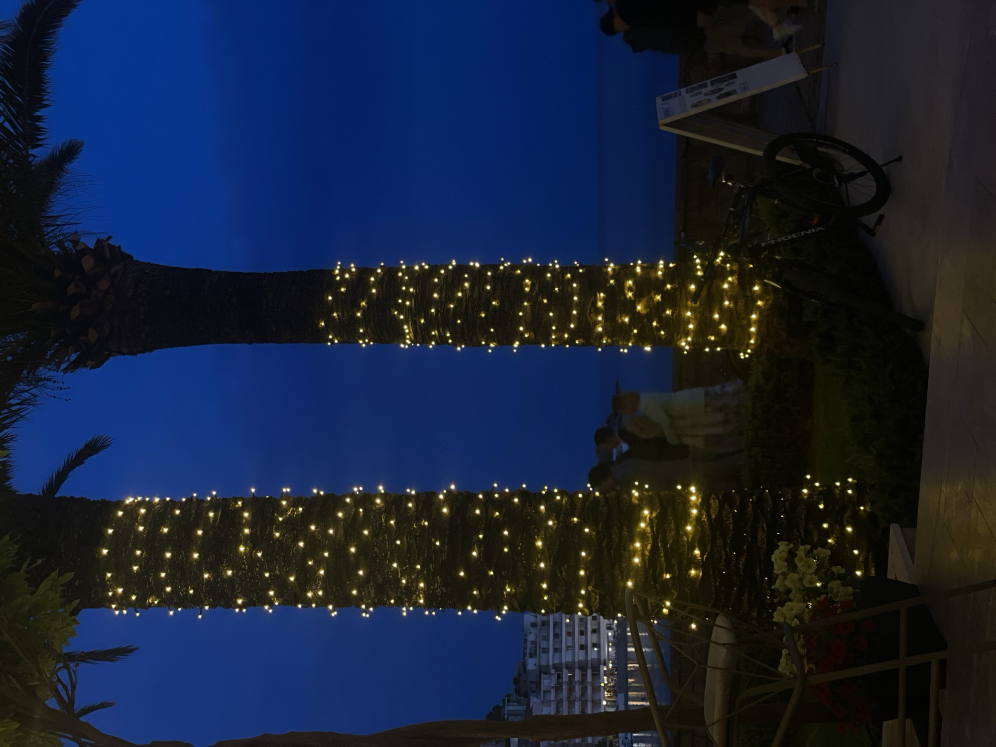 The image shows an outdoor scene in Bečići, Montenegro, at night. Two palm trees are wrapped with strings of lights, their trunks illuminated against the dark blue sky. People are standing and talking in the background near a green area. A bicycle is parked next to a sign. A metal chair and a flower pot containing white and red flowers are in the foreground. A building is visible in the background.