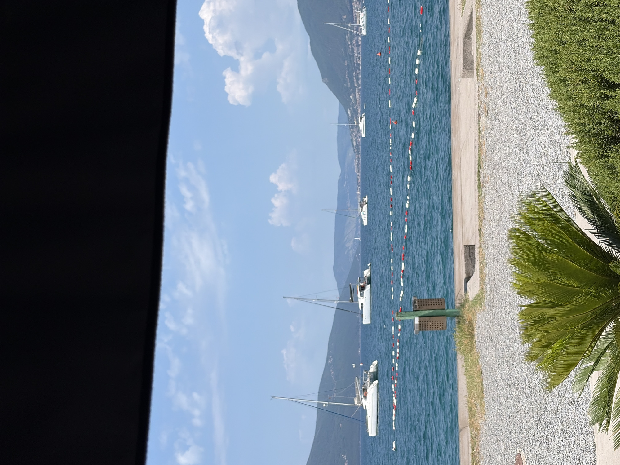 The image shows a coastal scene in Tivat, Montenegro. The perspective is from an elevated position, likely a balcony or window, with a portion of a dark structure visible on the left. The scene captures the Bay of Kotor with several sailboats scattered along the water. A line of buoys runs parallel to the shore, marking a designated area. The shoreline consists of a concrete barrier, followed by a gravel area, and then dense greenery, including a prominent palm tree on the right. In the background, mountains are visible under a bright sky with scattered clouds.