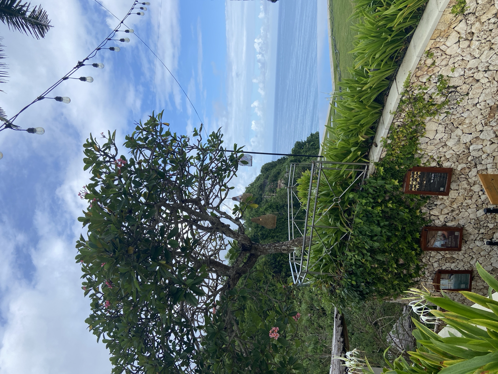 The image depicts an outdoor scene in Kuta Selatan, Indonesia, likely a restaurant or resort overlooking the ocean. The camera is positioned at a low angle, capturing a view towards the sea. A frangipani tree with green leaves and a few pink blossoms dominates the left side of the frame. Above the tree, a string of lights is strung across the sky, which is partly cloudy with blue patches. In the middle ground, a metal structure, potentially a pergola or railing, is covered in green vines and other vegetation. To the right, a stone wall is lined with green plants. Several framed plaques are mounted on the wall. In the background, the ocean stretches to the horizon, with a strip of green coastline visible on the right side.