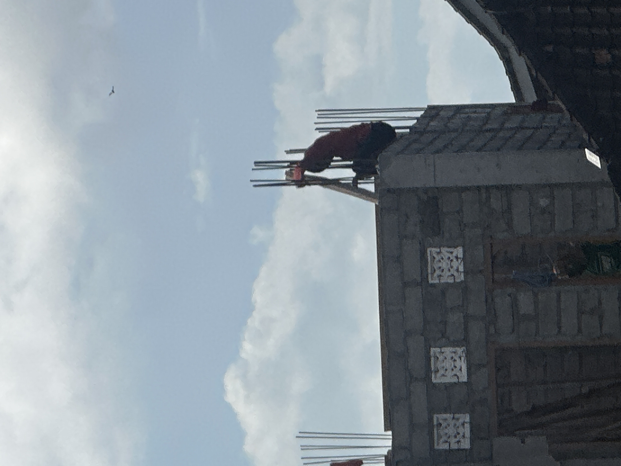 A person wearing a red shirt and dark pants is working on top of a building under construction in Sukawati, Indonesia. The building is made of grey concrete blocks, with rebar sticking out from the top. The sky is partly cloudy with a bird in the distance. The scene is captured from a low angle, looking up at the construction site.