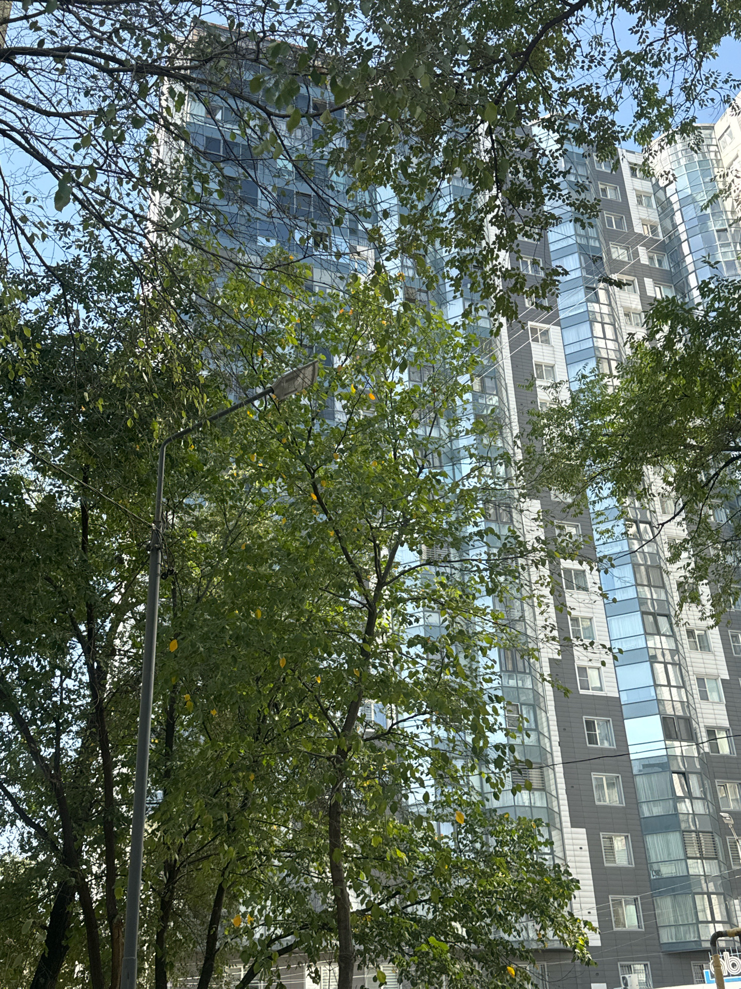The image shows a tall, modern building with a glass facade in Almaty, Kazakhstan, partially obscured by lush green trees. The building features a combination of grey panels and reflective blue windows, creating a dynamic and contemporary architectural style. The trees, with their dense foliage, are in the foreground, suggesting a park or green space adjacent to the urban development. The sky is visible through the branches, indicating an outdoor scene. A lamppost stands near the trees on the left side of the frame. The overall impression is one of urban nature, where modern architecture coexists with greenery.