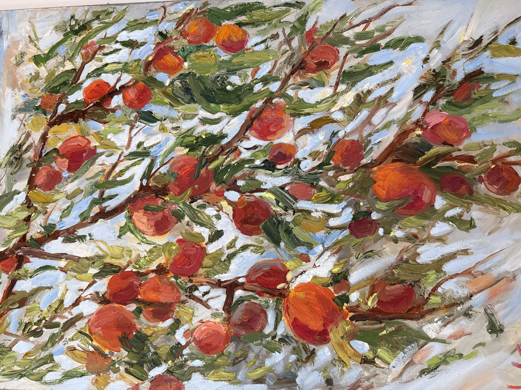 The image is a close-up of an oil painting depicting a tree laden with reddish-orange fruit, possibly apples or peaches. The branches, rendered in brown and green strokes, are interlaced and spread throughout the canvas. The fruit is painted with thick impasto, giving them texture and dimension. Green leaves, also created with bold brushstrokes, are scattered among the branches and fruit. Glimpses of light blue sky peek through the foliage. The painting style is impressionistic, focusing on capturing the light and color of the scene. The location is not explicitly mentioned.