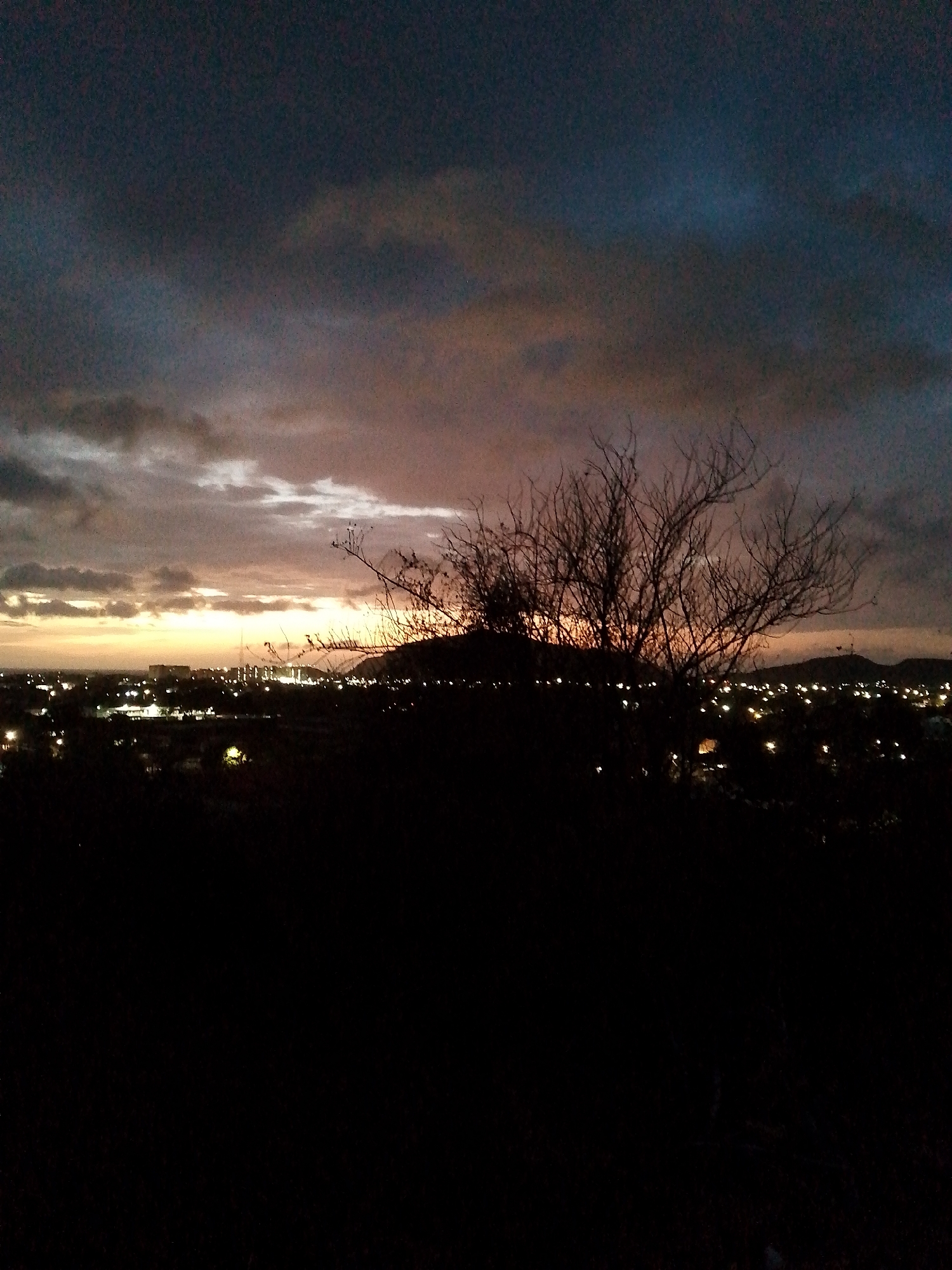 The image depicts a nightscape in Juan Griego, Venezuela, showcasing the urban sprawl against a dramatic sky. In the foreground, a dark, silhouetted landscape rises, partially obscuring the distant city lights. A leafless tree stands prominently within the dark foreground, its branches reaching towards the illuminated sky. Above, a blend of dark and light clouds are illuminated by the setting sun, creating a colorful and atmospheric backdrop. The distant city lights form a horizon glow, indicating the presence of buildings and infrastructure in Juan Griego. The scene is still, with no visible human activity.