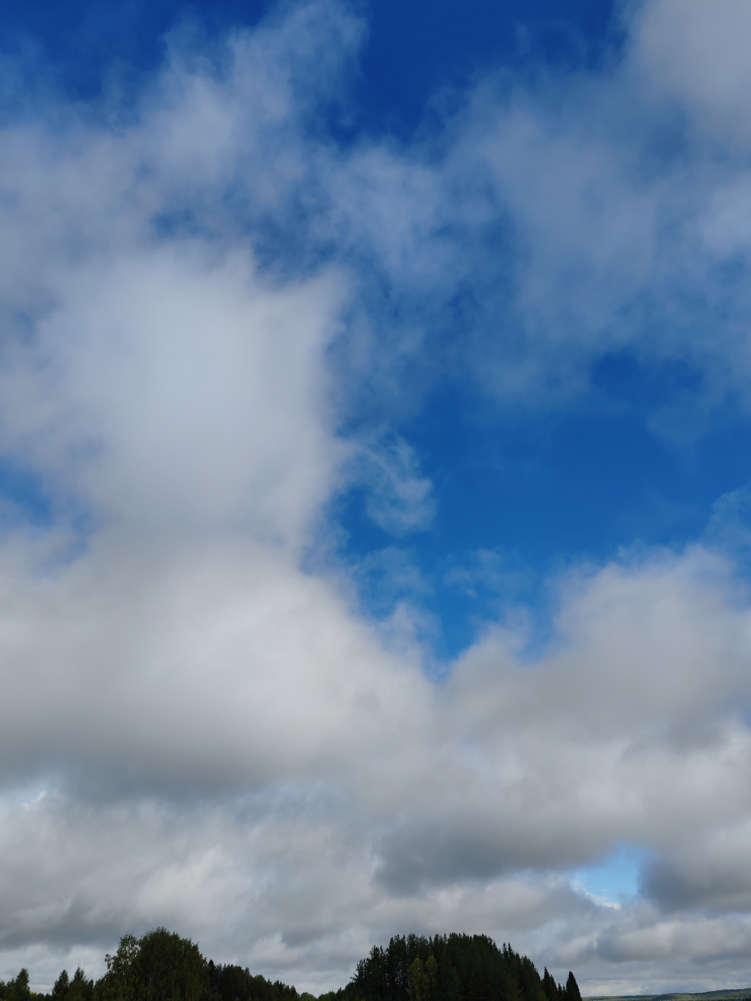 The image depicts a sky with scattered white and gray clouds against a vibrant blue sky. In the lower portion of the frame, a dense line of dark green trees forms a forest canopy, with glimpses of a distant landscape. The scene is likely from Чухлэм, Russia, given the mention of this location. There are no people or specific objects visible, focusing primarily on the natural elements of the sky and forest. The overall impression is one of a partly cloudy day with a clear view of the horizon.
