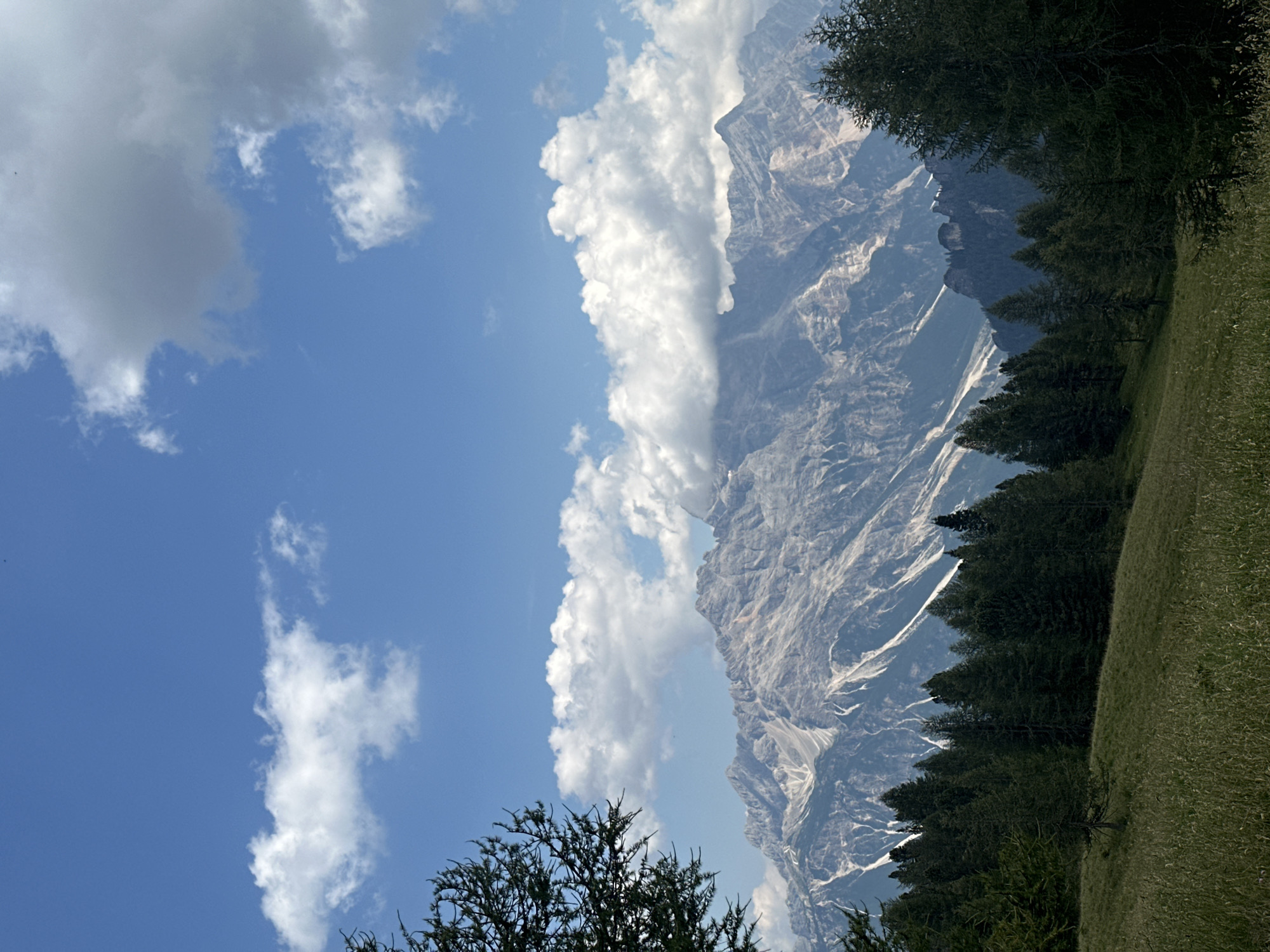 The image captures a majestic mountain range under a bright blue sky dotted with fluffy white clouds. In the foreground, a lush green meadow slopes gently upwards, bordered by a dense forest of dark green evergreen trees. The mountains in the distance are rugged and imposing, with streaks of white, possibly snow or rock formations, accentuating their jagged peaks. A few scattered trees are visible on the slopes of the mountains, adding a touch of life to the rocky terrain. The scene evokes a sense of natural beauty and tranquility, characteristic of the Dolomite region, which includes Cortina d'Ampezzo, Italy. There are no people, animals, or man-made structures visible in the image.
