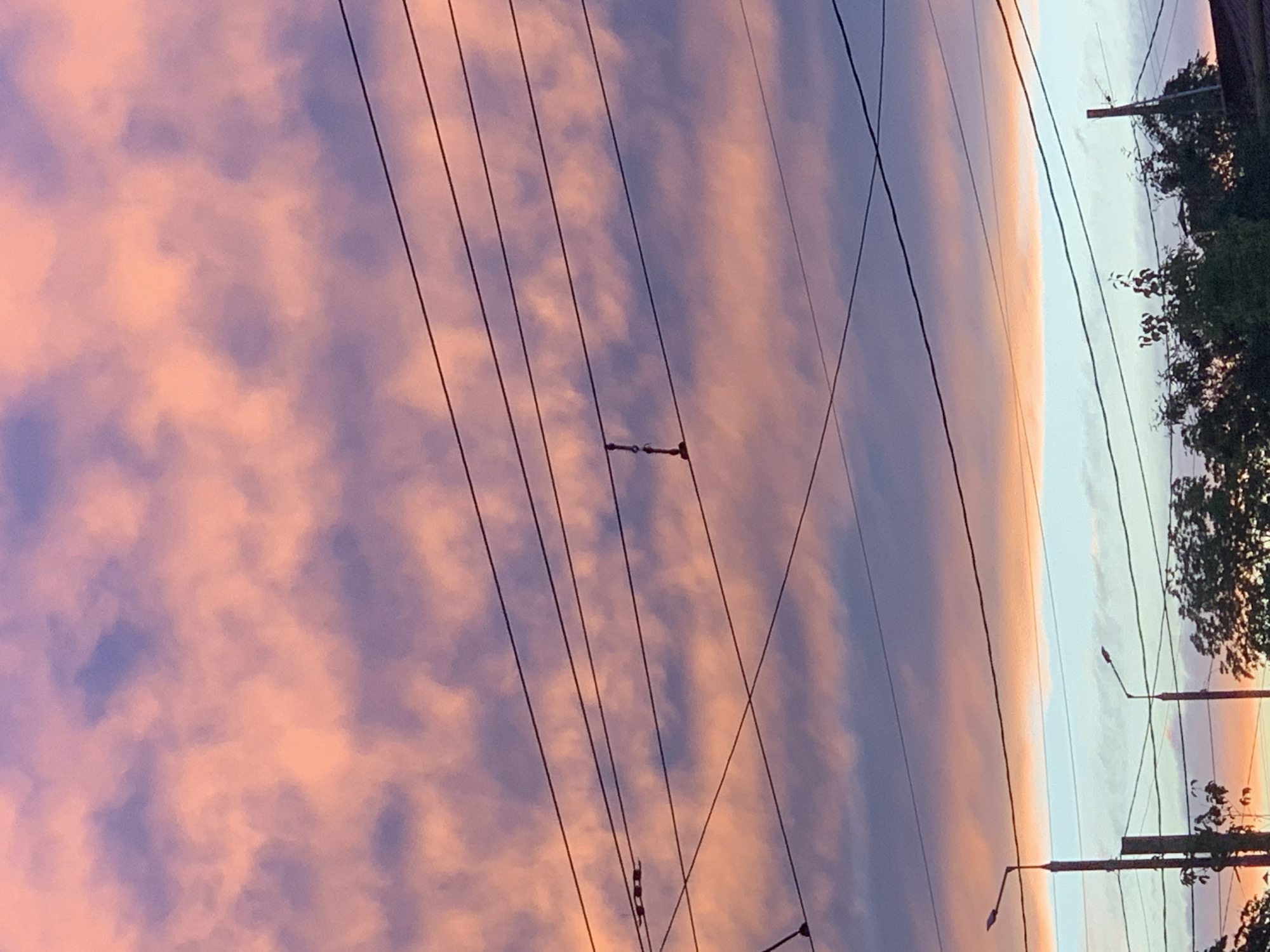 This image, presented with a vertical orientation, captures a vivid sky scene at either sunrise or sunset. The majority of the frame, predominantly on the left and central areas, is filled with dramatic clouds showcasing a rich palette of pink, orange, purple, and blue hues. The clouds are textured, appearing in layered streaks and soft patches, strongly illuminated by the low sun.
Numerous dark, thin utility wires or power lines crisscross the sky, running both vertically and diagonally across the colorful backdrop. These lines create a prominent geometric pattern against the organic cloud formations. Small, dark attachments, likely insulators or connectors, are visible on some of these wires.
On the far right side of the image, several dark silhouettes of utility poles or streetlights are visible, vertically positioned. One pole clearly features a streetlight fixture. Below and around these poles, dark green foliage from trees or bushes frames the right edge of the scene. The overall lighting is soft and warm, characteristic of dawn or dusk, creating a peaceful and aesthetically pleasing contrast between natural phenomena and urban infrastructure. There is no visible text or explicit human activity.