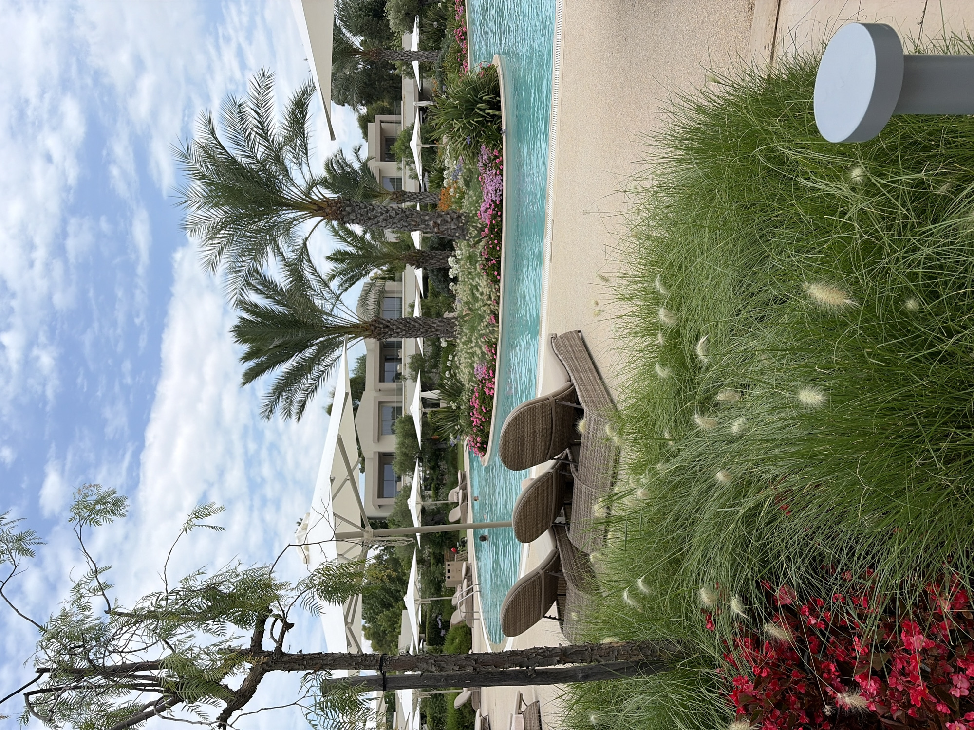 The image depicts a serene outdoor scene at a resort, likely located in the Kassandra Municipal Unit, Greece, given the Mediterranean flora and architecture. A large, freeform swimming pool with crystal-clear turquoise water dominates the center of the frame. The pool is surrounded by a light-colored paved deck and lush green vegetation, including tall palm trees and manicured flower beds with vibrant pink and white blooms. In the foreground, three woven lounge chairs are positioned on the deck, suggesting a relaxing atmosphere. Several large, white cantilever umbrellas provide shade. In the background, modern, low-rise buildings with clean lines and light-colored facades are visible, interspersed with more greenery and trees. The sky is a mix of blue with scattered white clouds, indicating pleasant weather. The scene conveys a sense of luxury and tranquility, typical of a high-end resort destination.