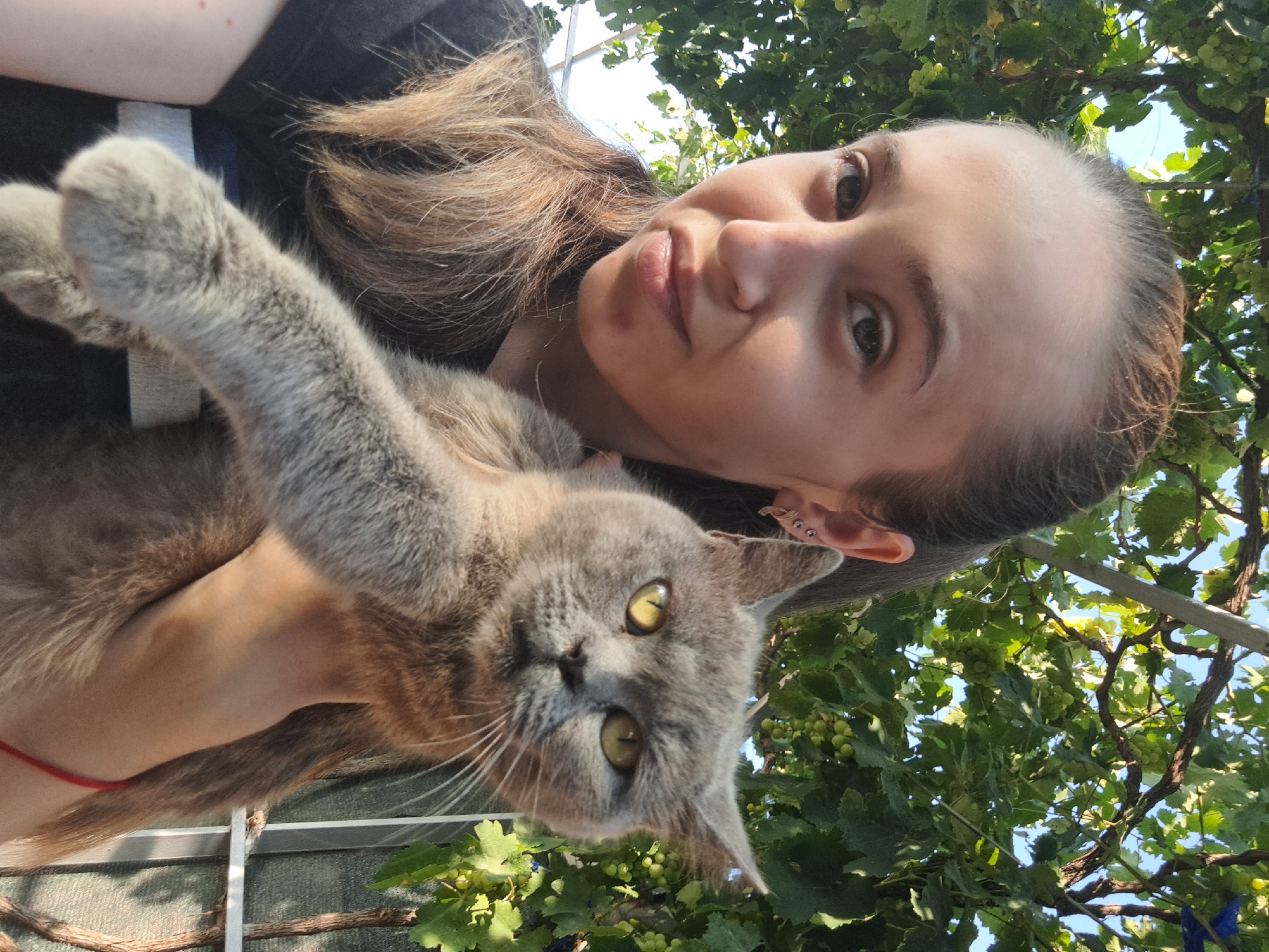 The image shows a young person holding a grey cat outdoors. The person has long, light brown hair and is wearing a black t-shirt. The cat has yellow eyes and is being held in the person's arms. They are standing in front of a backdrop of green leaves and grapes, suggesting an outdoor setting likely in a garden or vineyard. The background also includes what appears to be a trellis or fence. The lighting indicates it is daytime. There is no visible indication of the city of Vypasne, Ukraine.