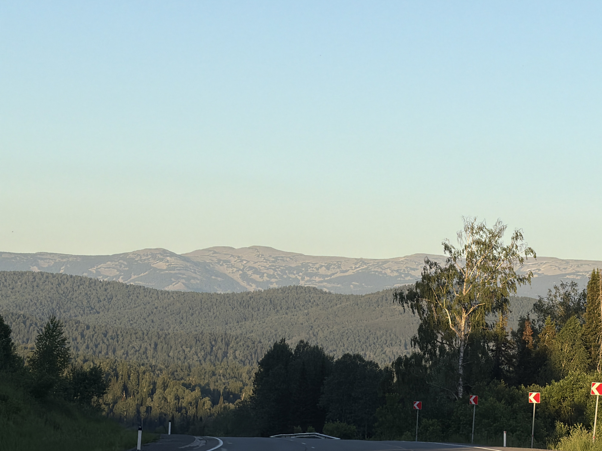 This media file depicts a scenic mountain landscape under a clear, pale blue sky. The scene is dominated by rolling hills covered in dense, dark green coniferous forests, with lighter green deciduous trees interspersed. In the foreground, a winding paved road curves through the landscape, with several red and white directional signs indicating a curve to the right. To the right of the road, a tall, slender birch tree with light-colored bark and delicate green leaves stands out against the darker foliage and distant mountains. The mountains in the background are a muted grey and brown, with visible ridges and valleys, suggesting a vast and rugged terrain.
The time of day appears to be late afternoon or early evening, as indicated by the soft, diffused light and the clear sky with a slight gradient of color. The weather is fair, with no clouds visible. The overall mood is peaceful and serene, highlighting the natural beauty of the remote mountainous region.
There is no visible text in the image, other than the red and white directional markers on the road signs, which are standard traffic symbols. The location is identified as Kaz, Russia. The image captures a sense of travel and exploration through a natural, undeveloped environment.