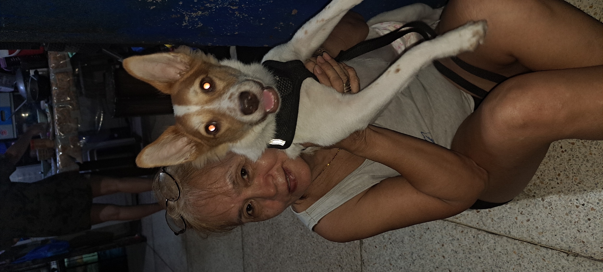 In Mandaluyong, Philippines, an elderly woman with glasses is seen holding a dog. The woman is wearing a white tank top and a gold necklace. She has short, light-colored hair and is looking towards the camera with a slight smile. The dog, which is white with brown markings, is wearing a black harness and appears to be a terrier mix. The dog's eyes are reflecting light, giving them an orange glow. The background shows a cluttered area with what appears to be a table set up with food and dishes, suggesting a meal or preparation for one. The flooring is a speckled terrazzo. The lighting in the scene is dim, with artificial light sources creating some of the brightness.