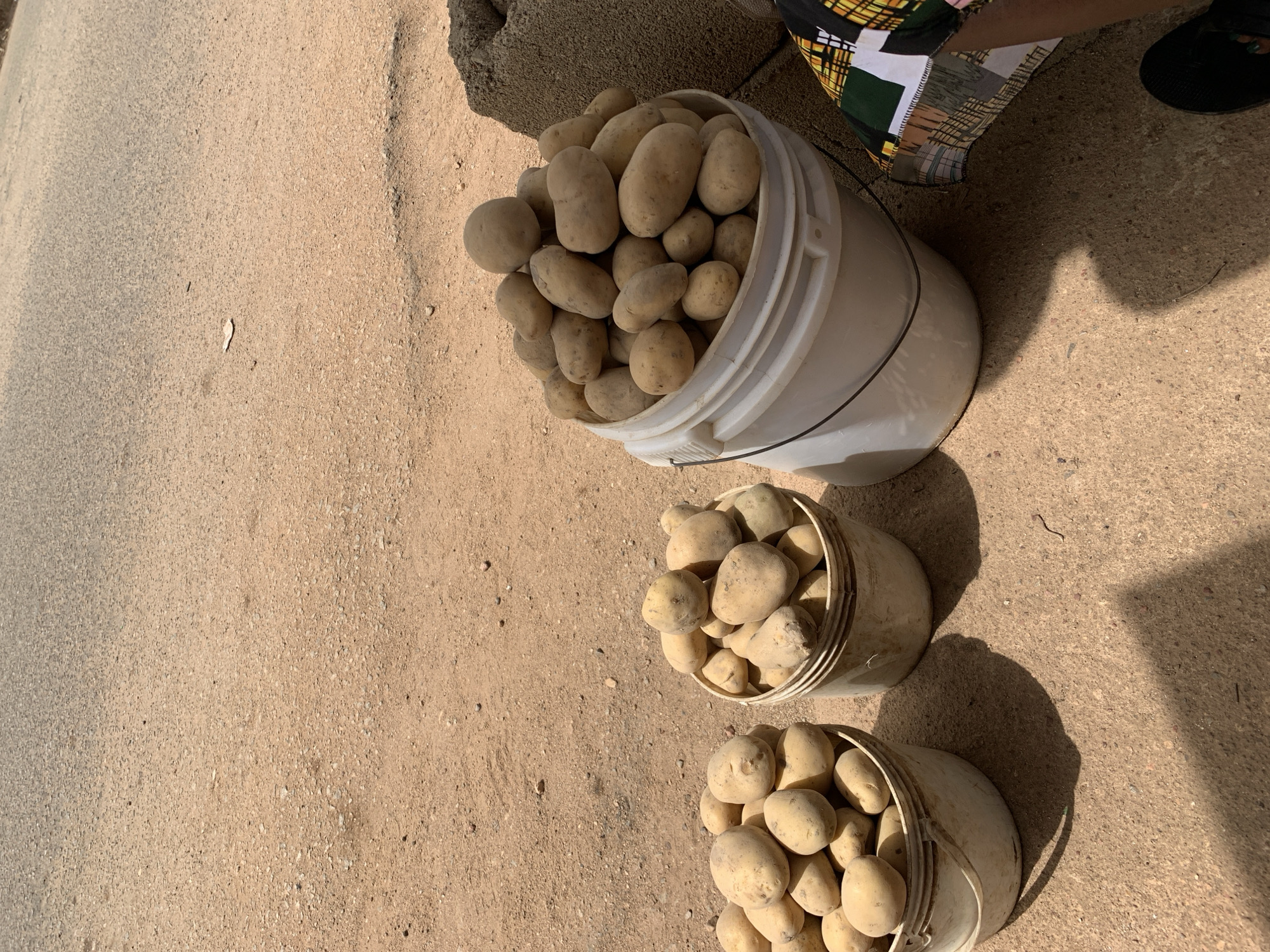 The image shows three white buckets filled with potatoes on a concrete surface. A larger bucket overflows with potatoes, while two smaller buckets are positioned below it. A person wearing a patterned garment and black shoes is partially visible near the large bucket. The scene is in Jos, Nigeria, as requested in the prompt. The environment appears to be outdoors, with sunlight casting shadows.