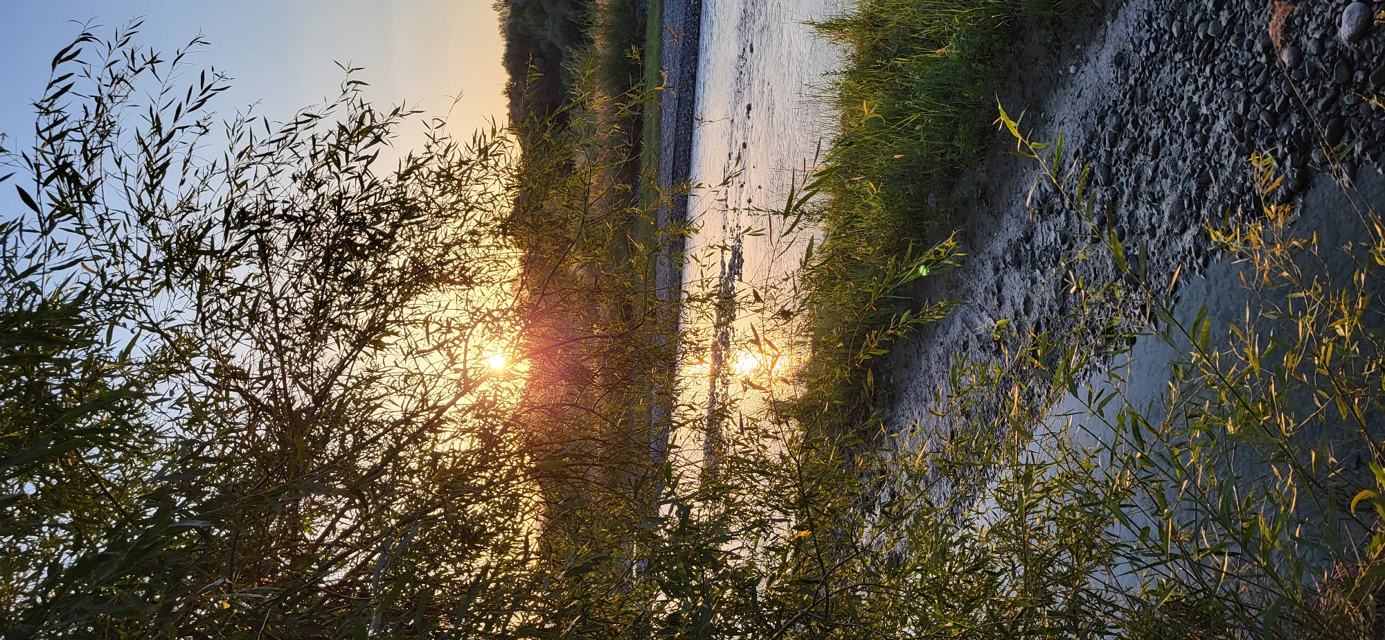 The image depicts a tranquil river flowing through a natural landscape at sunset. The sun, partially obscured by the branches of a tree in the foreground, casts a warm golden light across the scene. The river reflects the sky and the sun's rays, creating a shimmering effect on its surface. The riverbank is lined with green grass and a rocky path. In the background, there is a dense forest. The overall atmosphere is serene and peaceful. This scene could be found in the vicinity of Taldykorgan, Kazakhstan, known for its natural beauty and rivers.