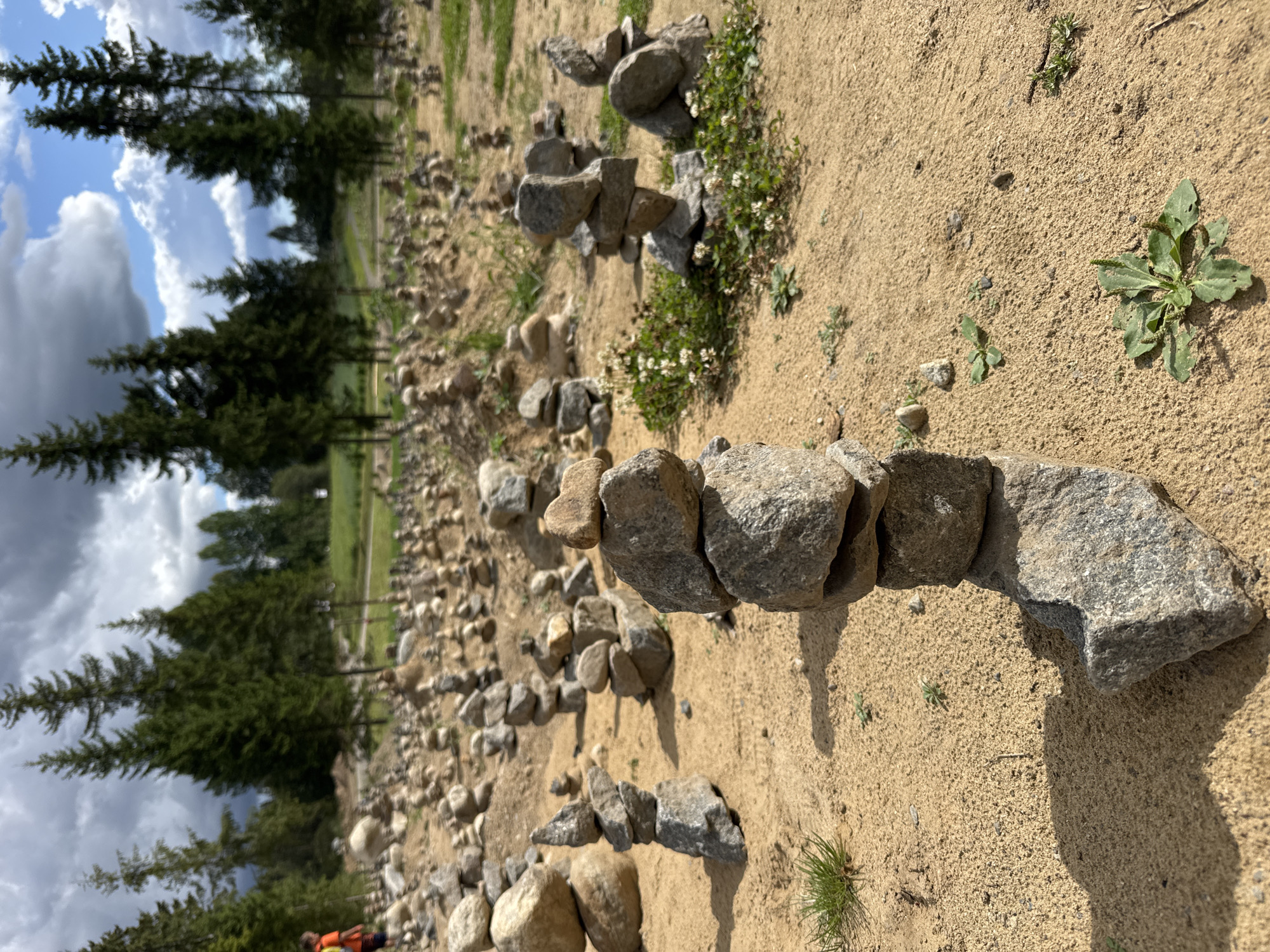 A person in an orange shirt is visible in the background on the left side of the image. The foreground is dominated by stacks of stones, arranged in a dry, sandy environment. These stone stacks vary in height and composition, with some appearing precarious. In the midground and background, numerous other stone stacks are visible, creating a landscape of carefully balanced rocks. The area is sparsely populated with small green plants, and a patch of white-flowered clover is present. Tall evergreen trees form the backdrop, with a cloudy sky overhead. The scene appears to be an outdoor recreational area or artistic installation, likely in Khankanmyaki, Russia, given the context.