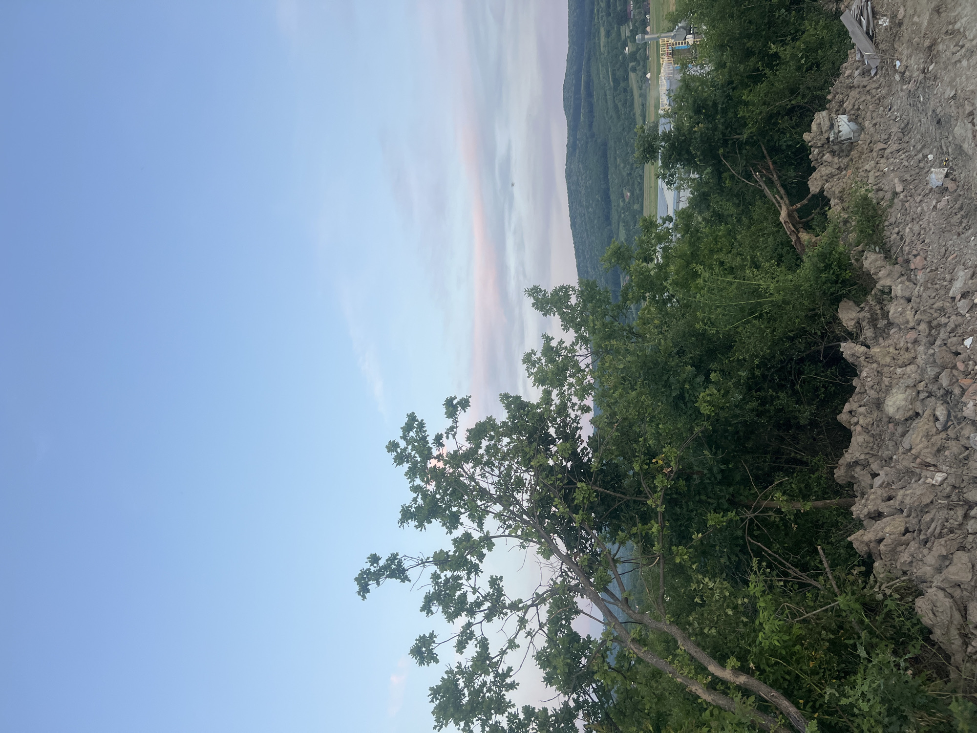 This is a vertical, wide-angle shot of a landscape scene in Bârnova, Romania. The sky dominates the left side of the frame, a soft gradient of light blue with delicate wisps of pink and white clouds suggesting either dawn or dusk. In the middle ground, a rolling, tree-covered hill recedes into the distance. Towards the upper right, a small cluster of buildings with light-colored roofs are visible on the horizon, possibly a village or small town.
The foreground is a mix of lush green foliage and a rough, disturbed patch of earth on the right. A tree with sparse leaves and visible branches extends across the lower portion of the frame, its canopy partially obscuring the view of the hill. To the right of the tree, the ground appears to be a pile of loose dirt and rocks, suggesting a construction site or a landslide. The overall impression is one of a natural landscape with signs of human activity in the distance and at the immediate foreground. The lighting indicates it is either early morning or late evening.