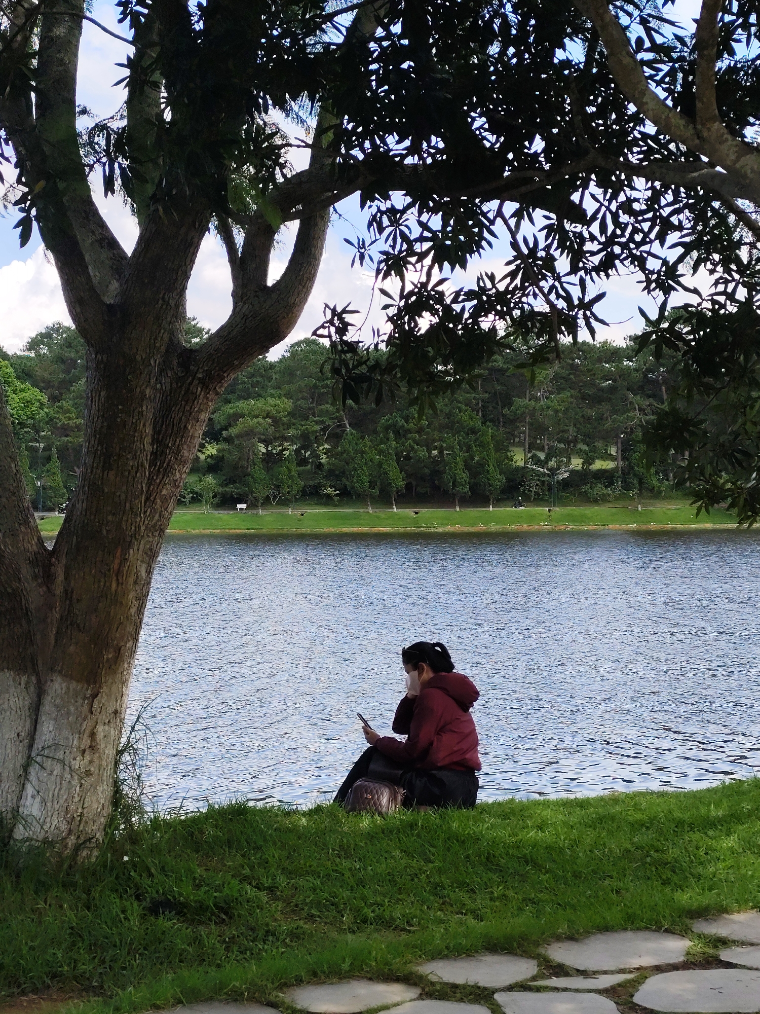 A person sits on a grassy bank beside a tranquil body of water, holding a mobile phone. The person is wearing a maroon jacket and dark pants, with dark hair pulled back. A brown purse rests on the grass beside them. The scene is framed by the branches and leaves of a large tree in the foreground, which casts shadows on the ground. In the background, a dense forest of pine and other trees lines the opposite shore of the water. The sky is partly cloudy with patches of blue. The overall setting suggests a peaceful park or natural area, possibly Xuan Huong Lake in Da Lat, Vietnam, known for its scenic beauty and surrounding forests.