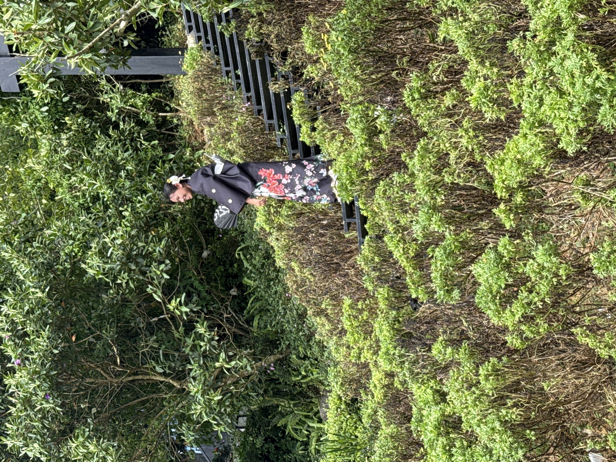 The image displays an outdoor scene on a vegetated hillside in Cam Ly - Đà Lạt, Vietnam. A young woman, appearing to be of East Asian descent, is standing on a series of dark, multi-tiered steps that ascend diagonally from the lower center towards the upper right. She is positioned in a profile view, facing towards the left side of the frame, with a broad smile on her face. Her dark hair is pulled back, adorned with a white flower accessory on the right side of her head. She is wearing a traditional Japanese kimono or yukata; the upper portion is black with white polka dots, while the lower skirt features a vibrant floral pattern of red, pink, and white blossoms with green leaves. In her left hand, she holds a black folding fan with white decorative motifs.
The steps appear to be made of a dark material, possibly wood or metal, arranged in horizontal slats. The environment is densely vegetated, with the background consisting of lush, deep green foliage and mature trees, some with visible branches. The foreground and midground feature a steep slope covered in a mix of healthy, bright green shrubbery with small leaves and areas of drier, brown, more sparse vegetation. Small patches of lighter green plants and some ferns are also visible on the lower left slope. A dark, upright structural element is partially visible in the upper right background, behind the ascending stairs. The scene is brightly illuminated by natural daylight.