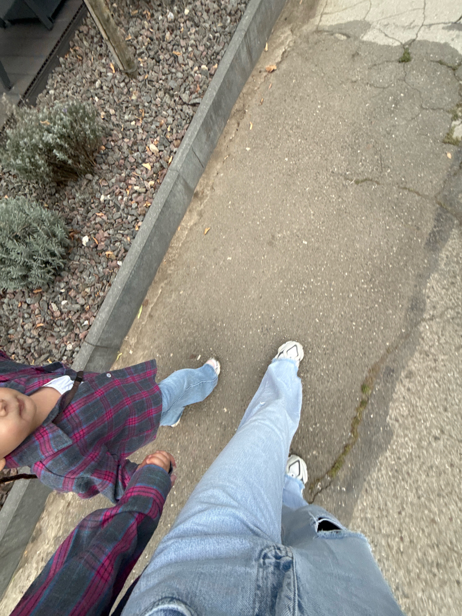 The image captures a POV perspective of two individuals walking on a cracked asphalt surface, bordering a raised planter filled with gravel and low-lying green bushes. The person in the foreground, whose legs are prominently displayed, is wearing light blue distressed jeans and white sneakers. They are walking on the right side of the asphalt path. To the left of the asphalt, a concrete curb separates it from the gravel-filled planter. In the planter, two distinct green bushes are visible. Further to the left, partially obscured, are darker elements possibly belonging to outdoor furniture. The second individual, closer to the planter, is also wearing light blue jeans and a dark plaid shirt with pink and blue accents. They are holding hands with the first individual, indicating a close relationship, possibly a parent and child due to the visible facial features of the second person. The scene is outdoors, on a daytime, suggesting a casual stroll in an urban or suburban setting. There is no specific indicator of Chișinău, Moldova, in the image itself.