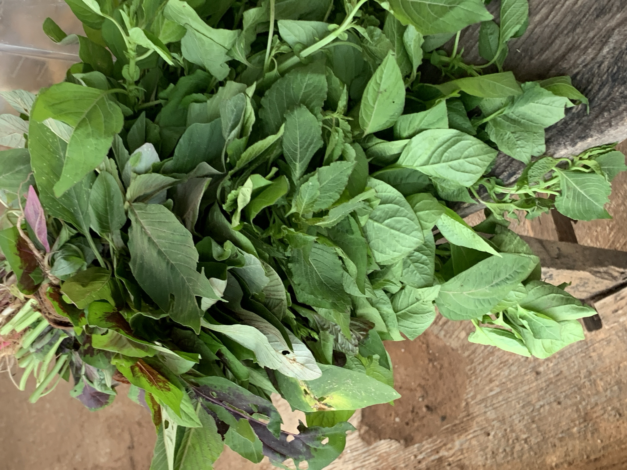 A high-angle, slightly blurred photograph shows a large bundle of leafy green vegetables, possibly amaranth, lying on a surface. The leaves are mostly green with some showing tinges of red and purple towards the base. The vegetables appear freshly harvested. The surface they rest on is wooden and sits on a dirt floor. The location is Gbeleko, Nigeria. No people are visible. The focus of the image is the bundle of vegetables. The environment seems rural with natural materials evident.