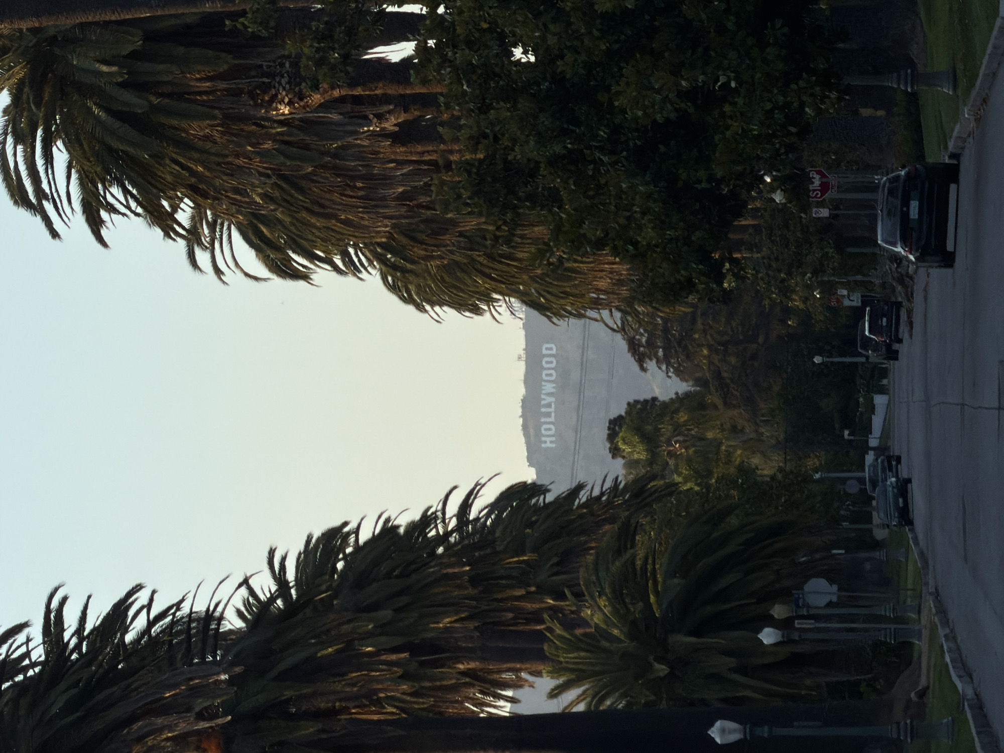 The image shows the Hollywood sign in Los Angeles, California, as seen from a street lined with palm trees. A row of parked cars and streetlights are visible along the side of the road. The sign is positioned on a hill, with the letters "HOLLYWOOD" clearly visible. The sky appears clear and bright, suggesting daylight. The road surface is paved and slightly cracked.