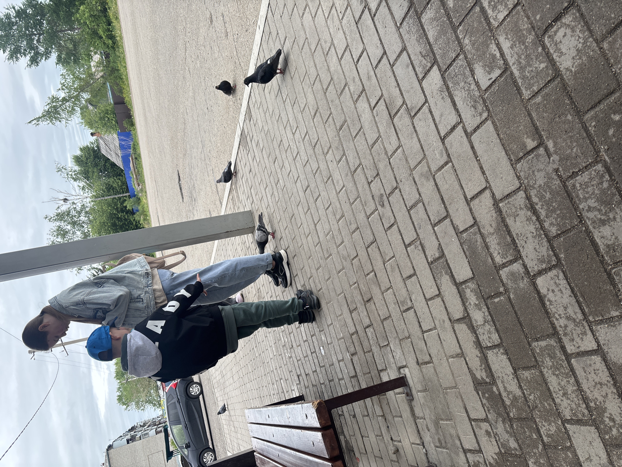The image captures an outdoor scene featuring two individuals observing several pigeons on a paved path. The primary subjects are a female and a male, standing near a wooden bench with a metal frame.
The female, on the left, wears a light blue denim jacket over a light top, light blue jeans, and black and white sneakers. Her brown hair is pulled back. The male, positioned slightly in front of her, wears a black hooded sweatshirt with white lettering (partially visible "A L" on the sleeve), dark green sweatpants, black sneakers, and a blue baseball cap. Both individuals are looking downwards, seemingly at the pigeons or the ground.
Multiple pigeons are scattered across the grey interlocking brick path and an adjacent asphalt road. At least six pigeons are visible, some walking on the path directly in front of the people, and others further in the background on the road.
The setting appears to be an urban or semi-urban environment. The paved brick path leads to an asphalt road on the right. In the background, there are numerous green trees and bushes, suggesting a park-like area or a treelined street. Buildings are partially visible through the trees, one with a blue tarp or covering. A dark-colored car is parked on the road behind the people. A utility pole and overhead wires are also visible in the mid-ground.
The time of day is daytime, under an overcast sky, as indicated by the soft, diffused lighting and lack of strong shadows. The brick pavers show signs of wear and appear somewhat damp or stained in areas. No clear emotions are discernible from the people's faces, but their posture suggests casual observation. No significant text other than the partial letters on the male's hoodie is clearly legible.