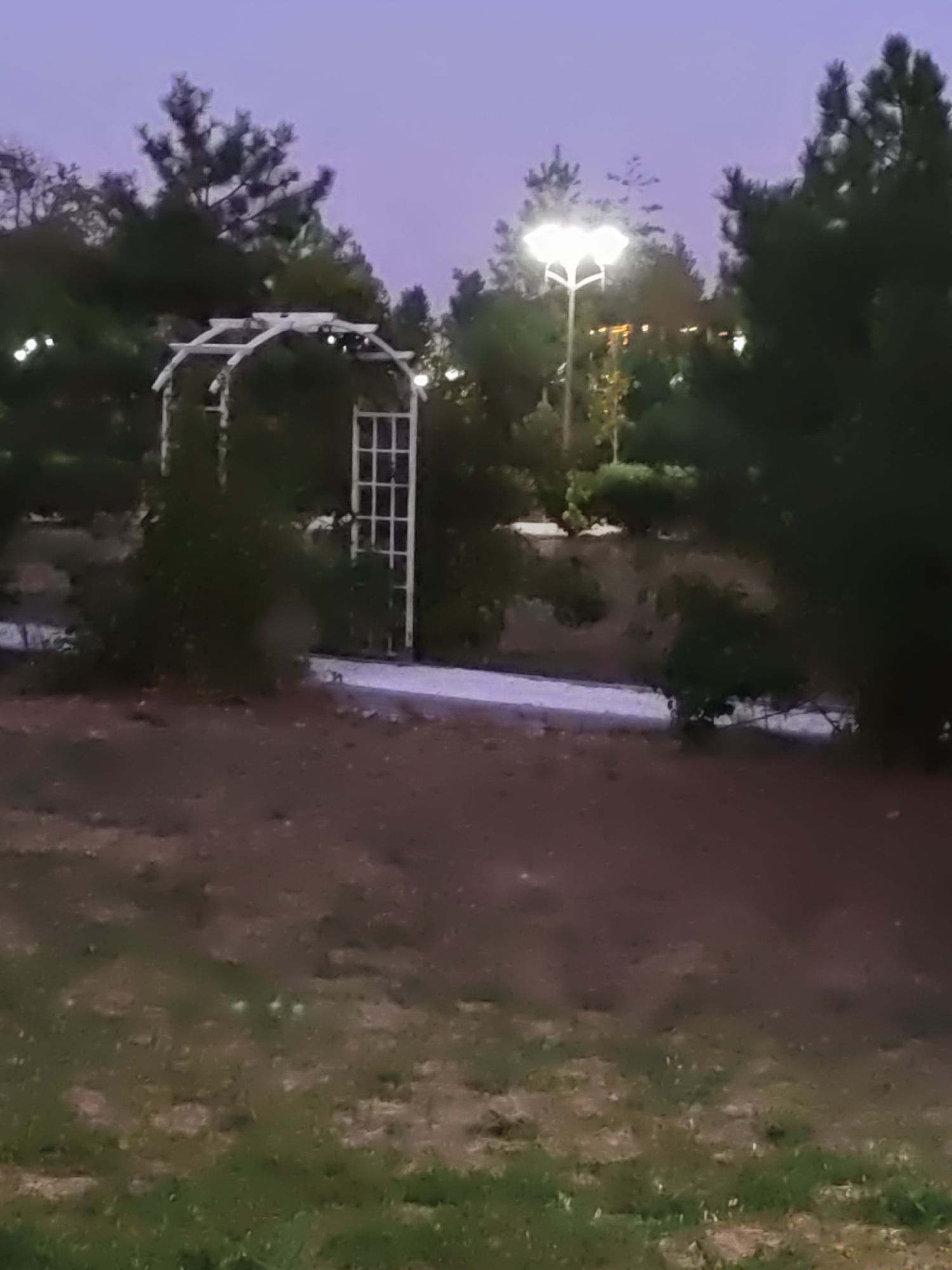 The image shows a park area in the city of Rostov-on-Don, Russia. In the foreground, there is a patch of grass and brown dirt. In the midground, there is a white trellis or archway with some greenery growing on it, and a tall white lattice structure to the right of it. Beyond that, there is a paved pathway and a street lamp with a distinctive heart-shaped light fixture. The background consists of trees and the twilight sky, which is a pale purple. There are no people visible in the image. The scene appears to be a public park or garden, possibly at dusk or early evening.