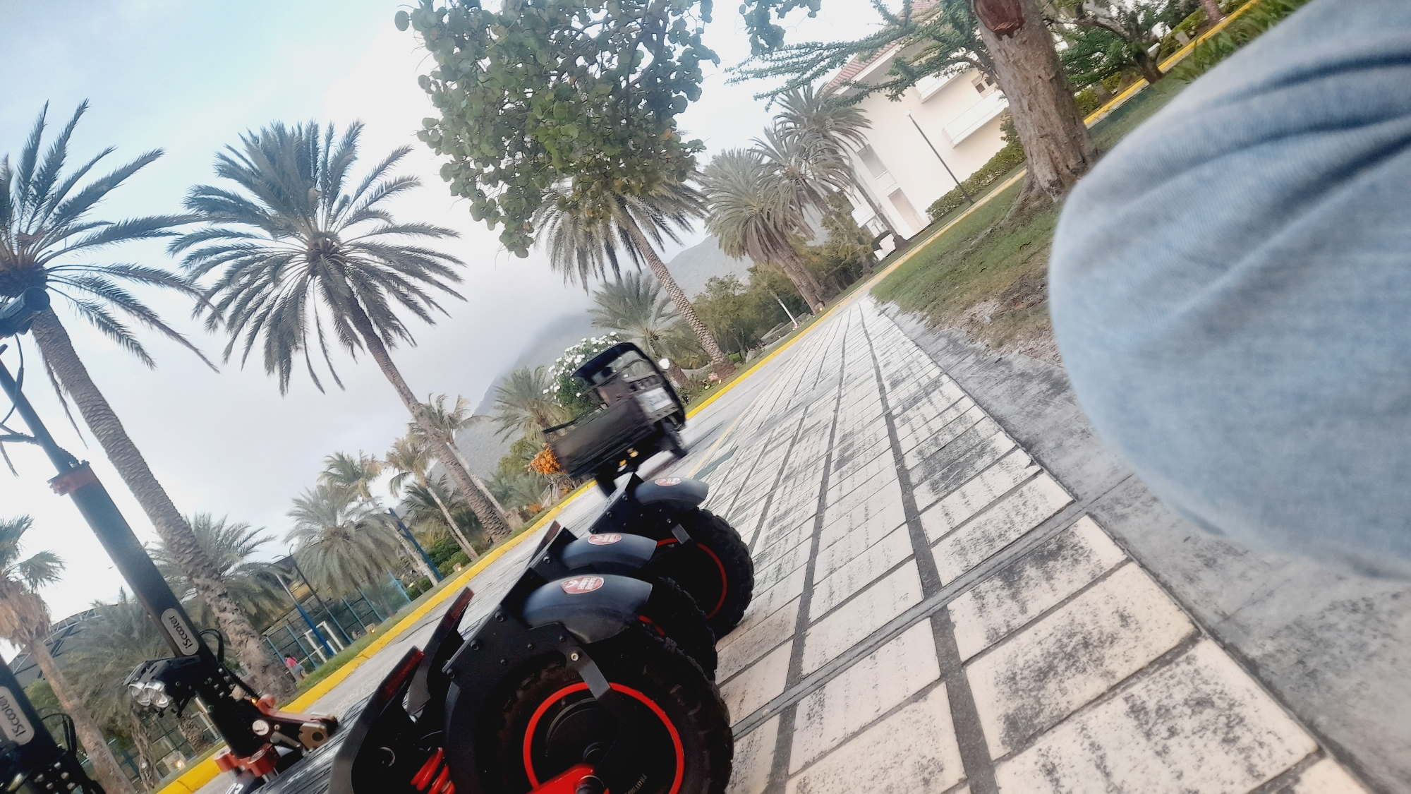 The image captures an outdoor scene, likely in a tropical or subtropical location, given the prominent presence of palm trees. The perspective suggests a low-angle shot, possibly taken from a seated position, as a person's legs covered in light blue denim are visible in the foreground, out of focus.
In the mid-ground, three electric scooters are parked side-by-side on a paved walkway composed of rectangular tiles. The scooters are black with red accents on their wheels and mudguards. The handlebars and front portions of two scooters are visible, one bearing the "iScooter" logo.
Beyond the scooters, a small, dark-colored vehicle, resembling a utility cart or golf cart, is parked on the side of the road. White flowers are visible near this vehicle. The background features a lush environment with various palm trees of different sizes and species, some with drooping fronds. Further in the distance, a mountainous landscape is discernible under an overcast or hazy sky.
The pavement appears wet, suggesting recent rain or a damp environment. The overall setting suggests a public area, possibly a park, promenade, or resort, conducive to recreational activities like scooter riding. The city of Pedro González, Venezuela, is known for its coastal areas and tropical vegetation, which aligns with the visual cues in the image.