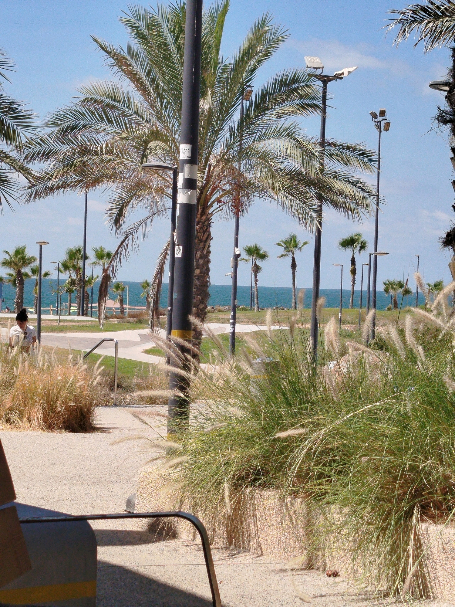 The image depicts a sunny outdoor scene in Ashkelon, Israel, likely near the coast. A prominent black lamppost with white stripes stands in the foreground, partially obscuring palm trees and tall, feathery grass. In the mid-ground, a woman with dark hair pulled back is walking on a paved path, wearing a light-colored outfit. Beyond the path, a line of palm trees borders a sandy area and then the bright blue sea. Several other lampposts and palm trees are visible in the distance, suggesting a public park or promenade. The sky is clear and blue. The overall impression is one of a pleasant, seaside environment.