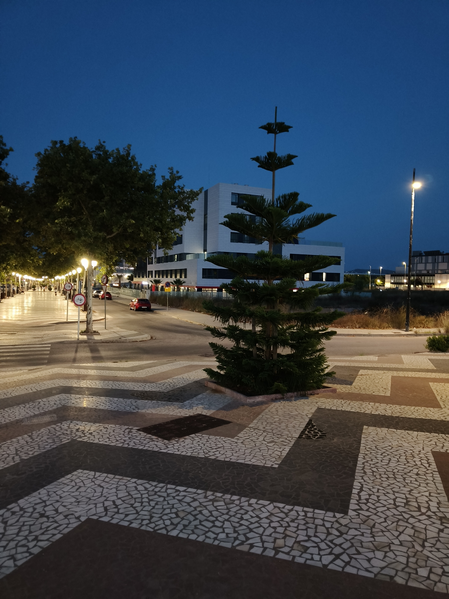 This is a vertical, eye-level, medium shot photograph taken at dusk of a street scene in the city of Gandia, Spain. In the foreground, a mosaic-tiled sidewalk features a repeating chevron pattern of light and dark tiles. To the right, a young pine tree with distinctive tiered branches stands in a raised planter. Beyond the sidewalk, a street is visible with two red cars driving away from the viewer. The street is lined with streetlights casting warm illumination. In the mid-ground, a row of large trees with lush green foliage borders the sidewalk. Further back, a modern, multi-story white building with dark-trimmed windows is prominently featured. The sky above is a deep, clear twilight blue. The overall atmosphere is calm and urban.