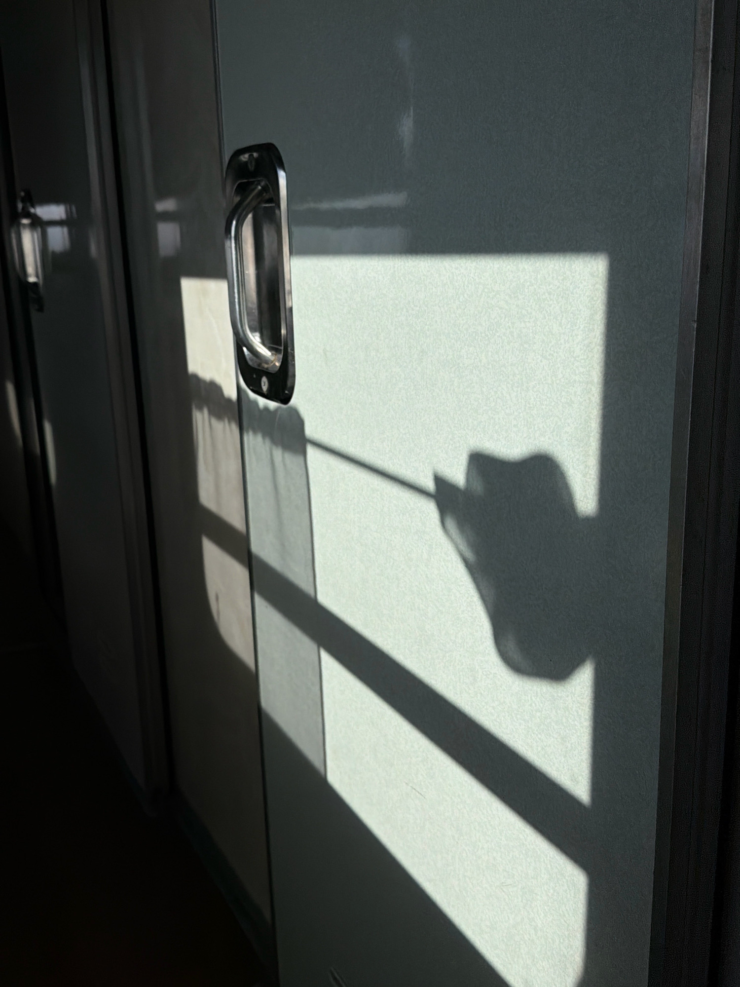 The image displays a close-up view of what appears to be a locker or cabinet door bathed in sunlight. A rectangular metal handle is prominently featured on the door, positioned vertically. Dramatic shadows cast by an unseen window with horizontal and vertical bars fall across the surface of the door and a wall to the left. A distinct shadow, possibly of a person's hand or headwear, is visible on the right side of the door. The environment suggests an indoor setting, potentially a changing room or a train compartment, given the nature of the locker and the lighting. There is no information present in the image to suggest a location in Avilovo, Russia.
