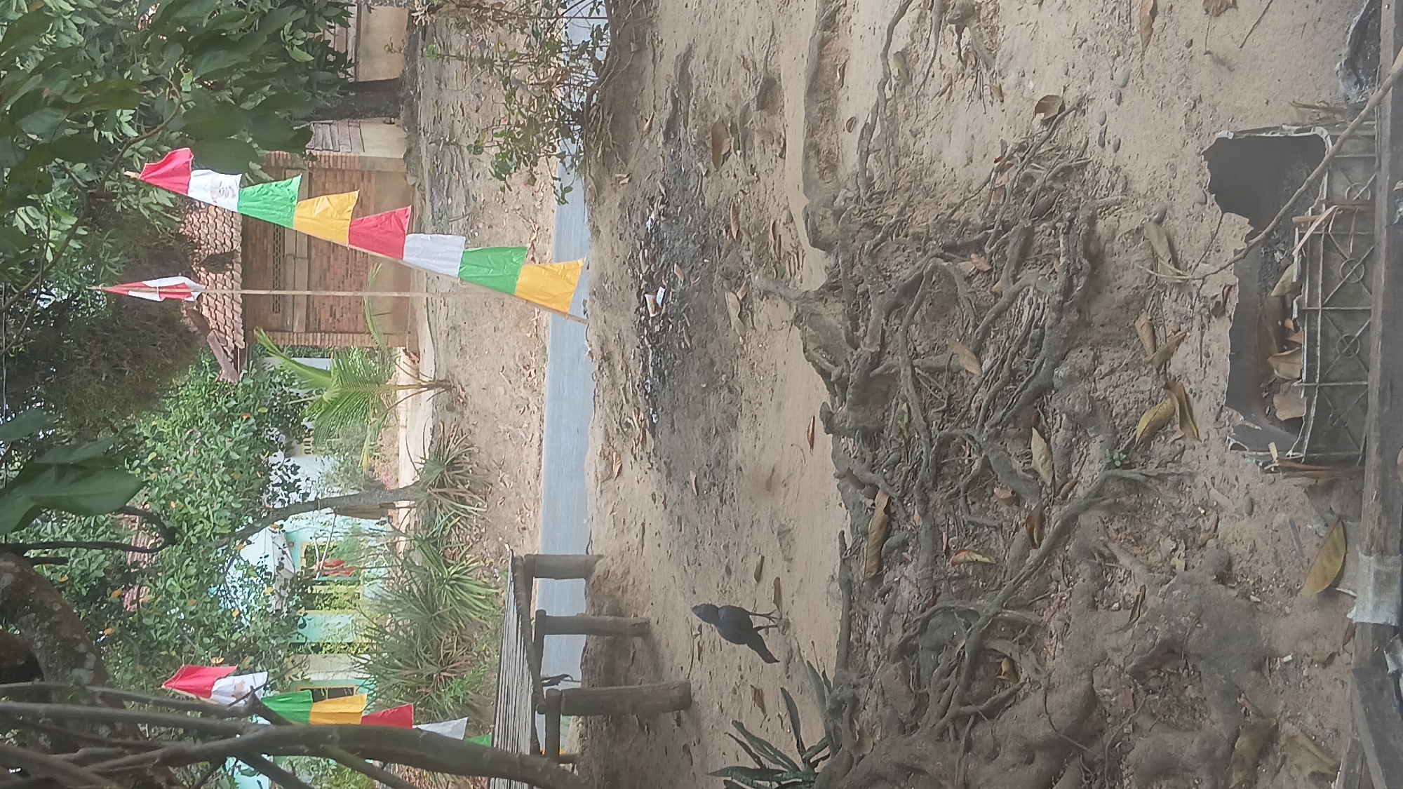 The image depicts an outdoor scene in Prabumulih, Indonesia, characterized by a dry, sandy ground with exposed tree roots. A lone black chicken stands on the ground, facing left. In the background, there is a simple wooden structure with a slatted top, resembling a small table or bench. Beyond this, a paved road or pathway is visible, with trees and vegetation lining its sides. Further in the distance, a brick building with a tiled roof and a light-colored structure with windows can be seen. A series of triangular flags in red, white, green, and yellow are strung on poles, adding a festive or ceremonial element to the scene. The overall environment appears rustic and perhaps rural, with elements of both nature and human habitation.