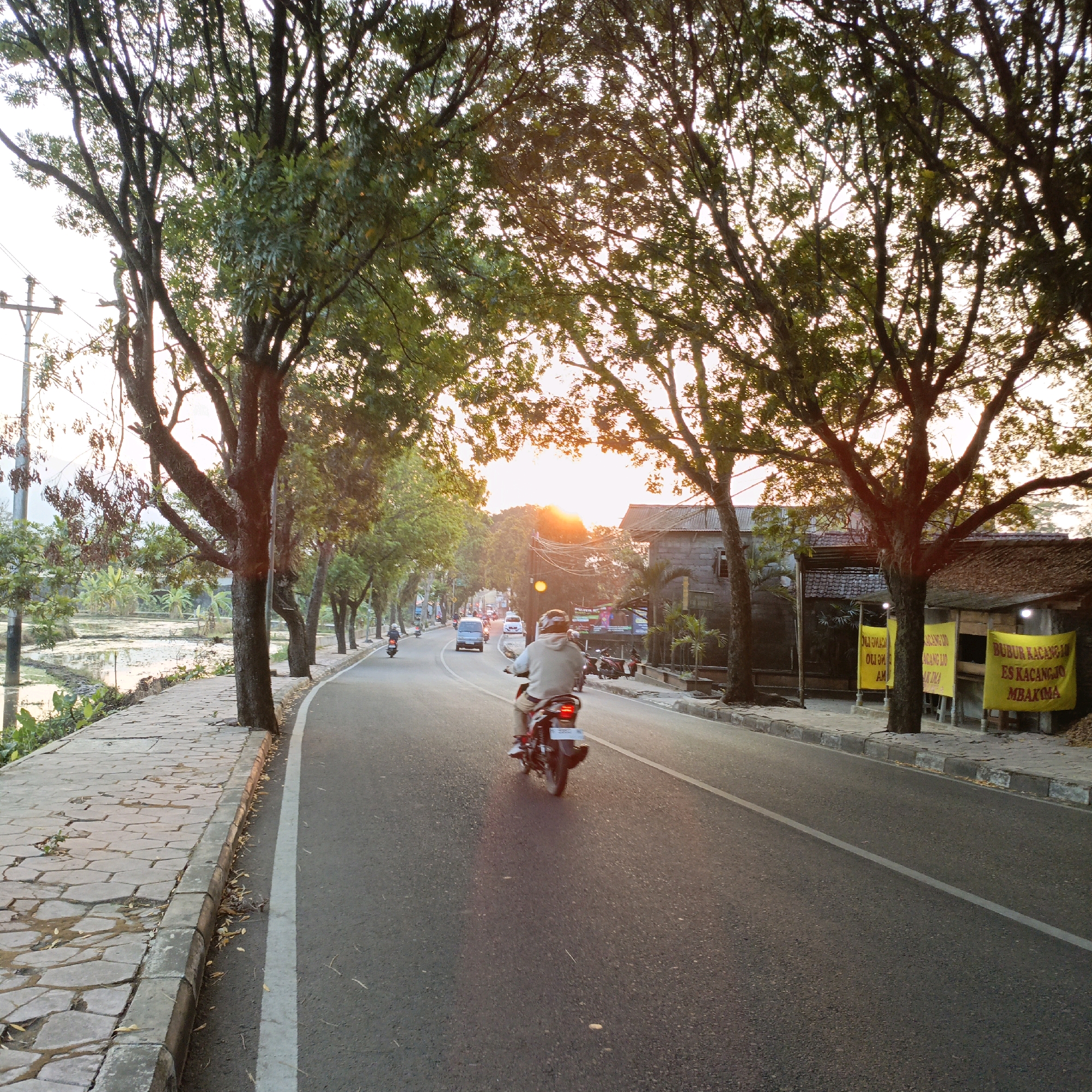 The image depicts a street scene in Salatiga, Indonesia, at dusk. The sun is setting, casting a warm glow through the leaves of tall trees lining the road. A paved sidewalk runs along the left side of the street, bordered by a low stone wall and some vegetation. Beyond the sidewalk, there appears to be a flooded field or rice paddy.
The road itself is asphalt and curves gently. Several vehicles are visible, including a light blue van driving away from the viewer, and a motorbike with a rider in a light-colored shirt and helmet moving towards the viewer. The rider is seated on the motorbike, which has its brake light illuminated.
On the right side of the road, there are several buildings with tiled roofs and a few yellow banners with Indonesian text. One banner prominently displays "BUBUR KACANG JO MBAKON". A few motorbikes are parked in front of the buildings. Power lines and poles are visible in the background. The overall atmosphere is that of a typical street in a town or city during the golden hour.